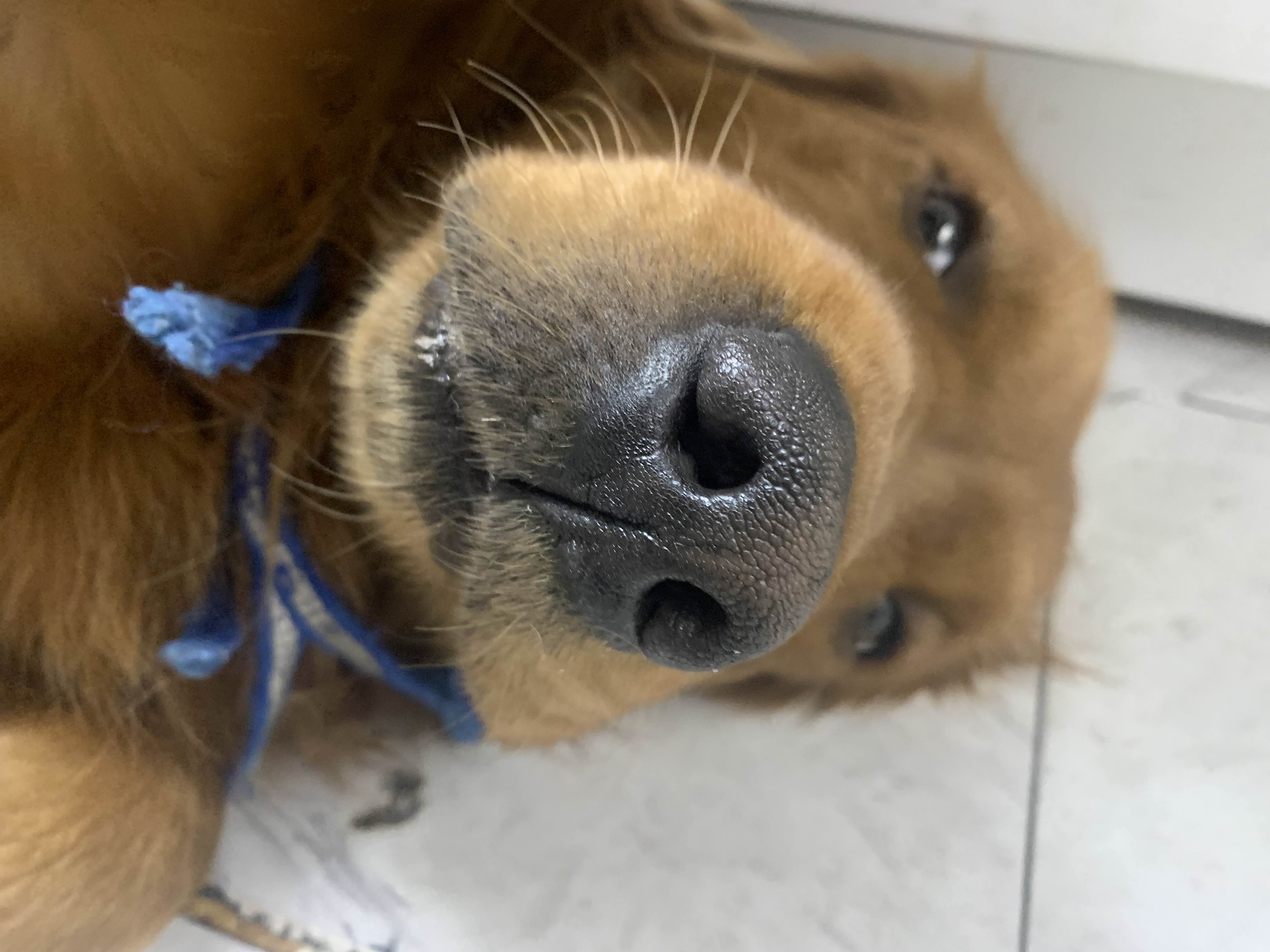 ShimadaX Summer Gaming Gallery & Community Highlights - Image 2