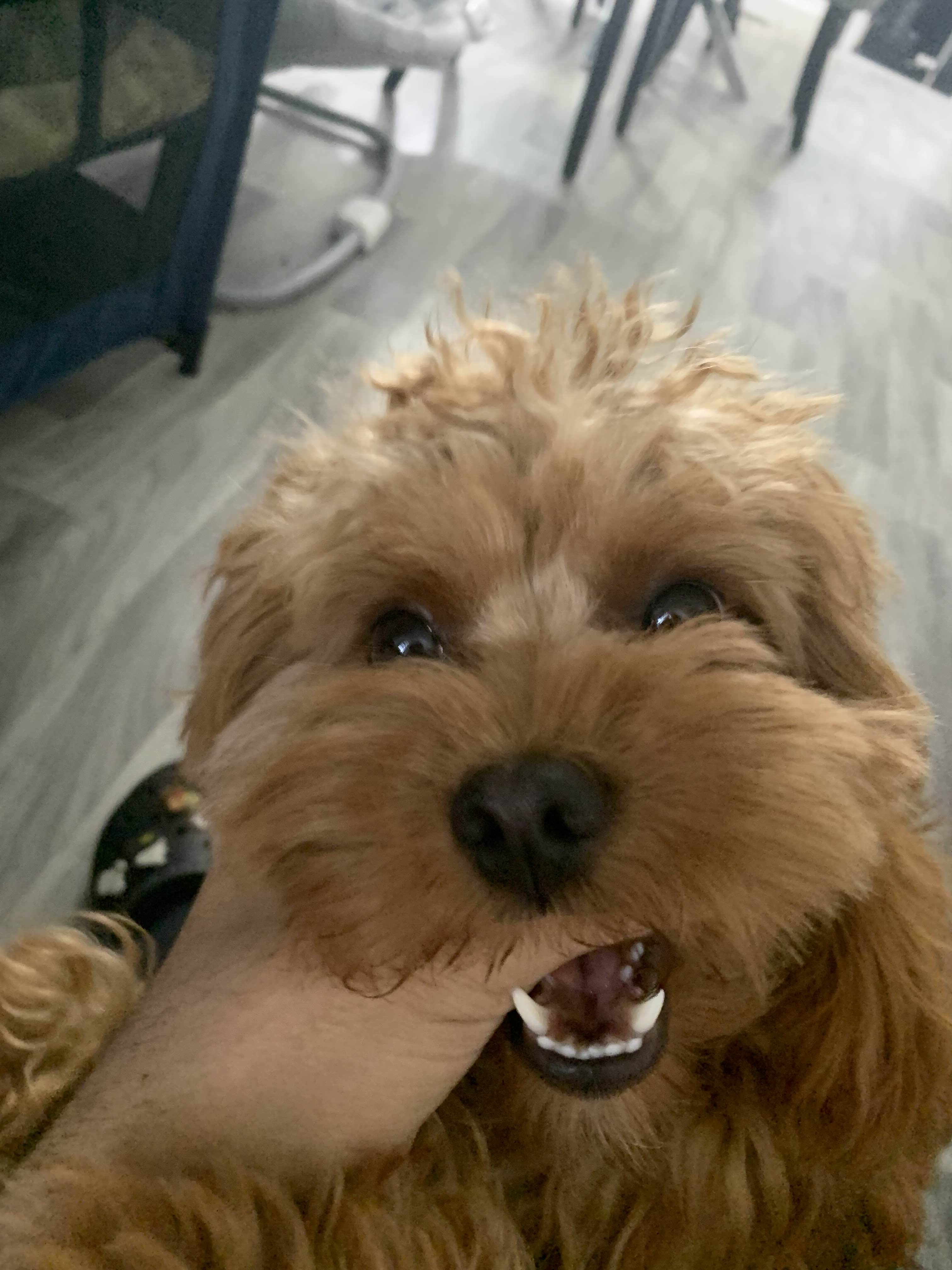 ShimadaX Summer Gaming Gallery & Community Highlights - Image 3