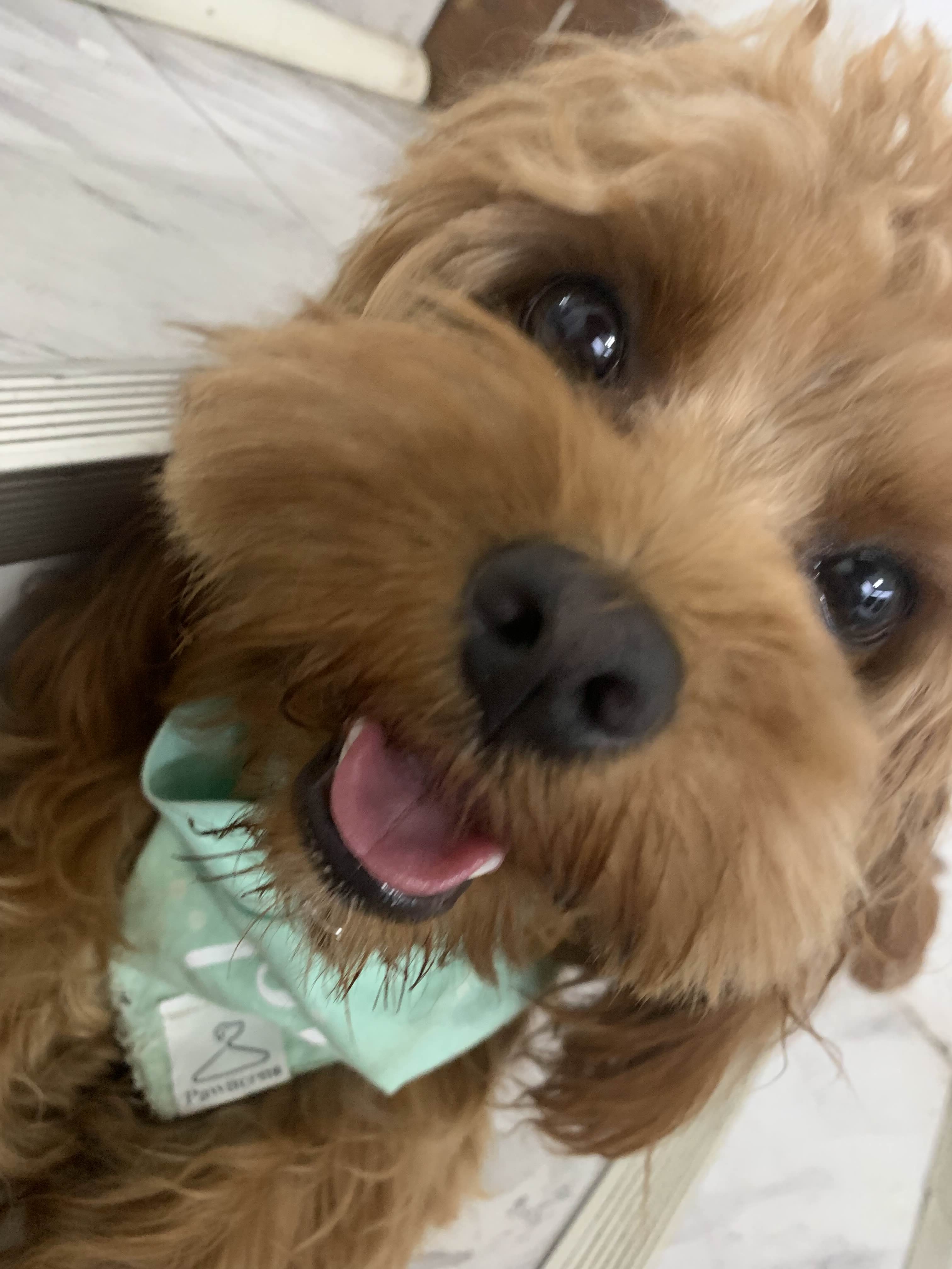 ShimadaX Summer Gaming Gallery & Community Highlights - Image 6