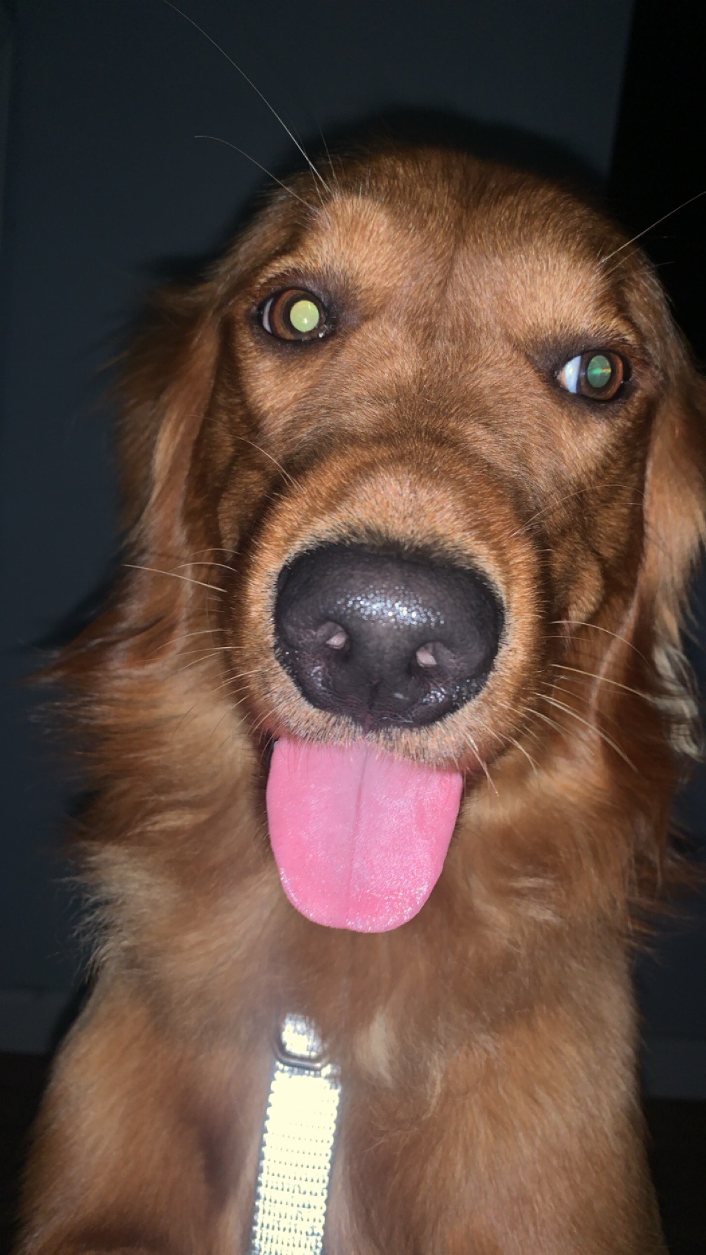 ShimadaX Summer Gaming Gallery & Community Highlights - Image 7