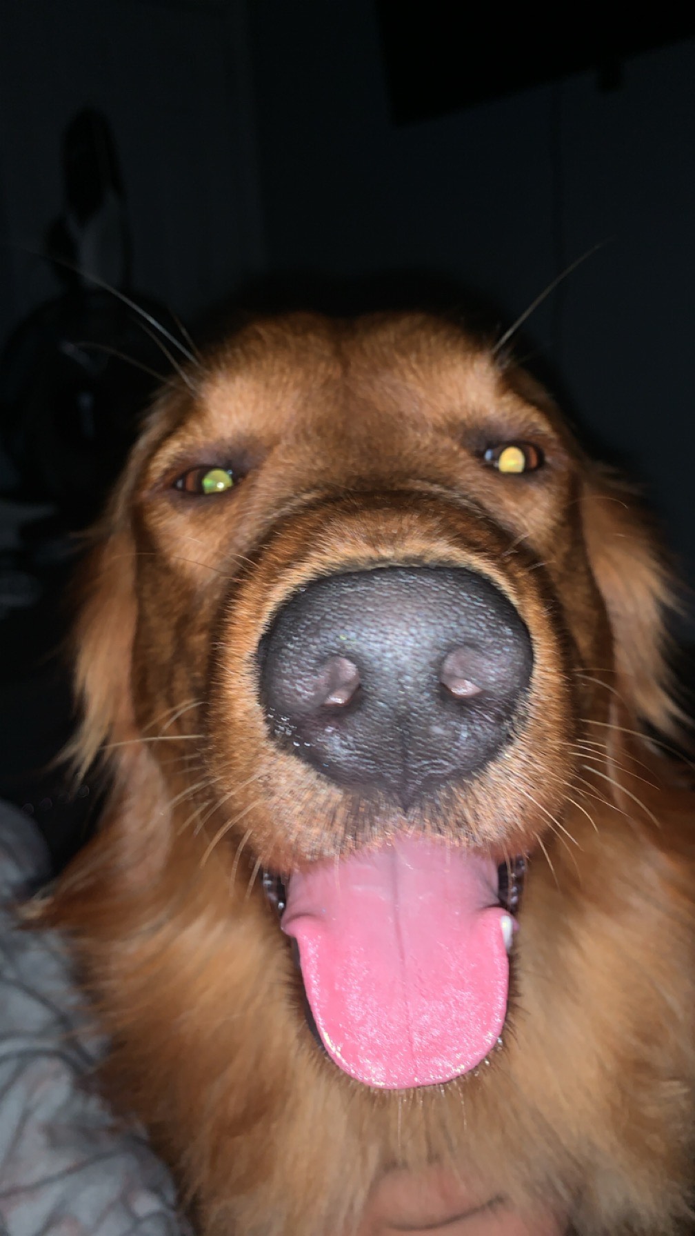 ShimadaX Summer Gaming Gallery & Community Highlights - Image 8