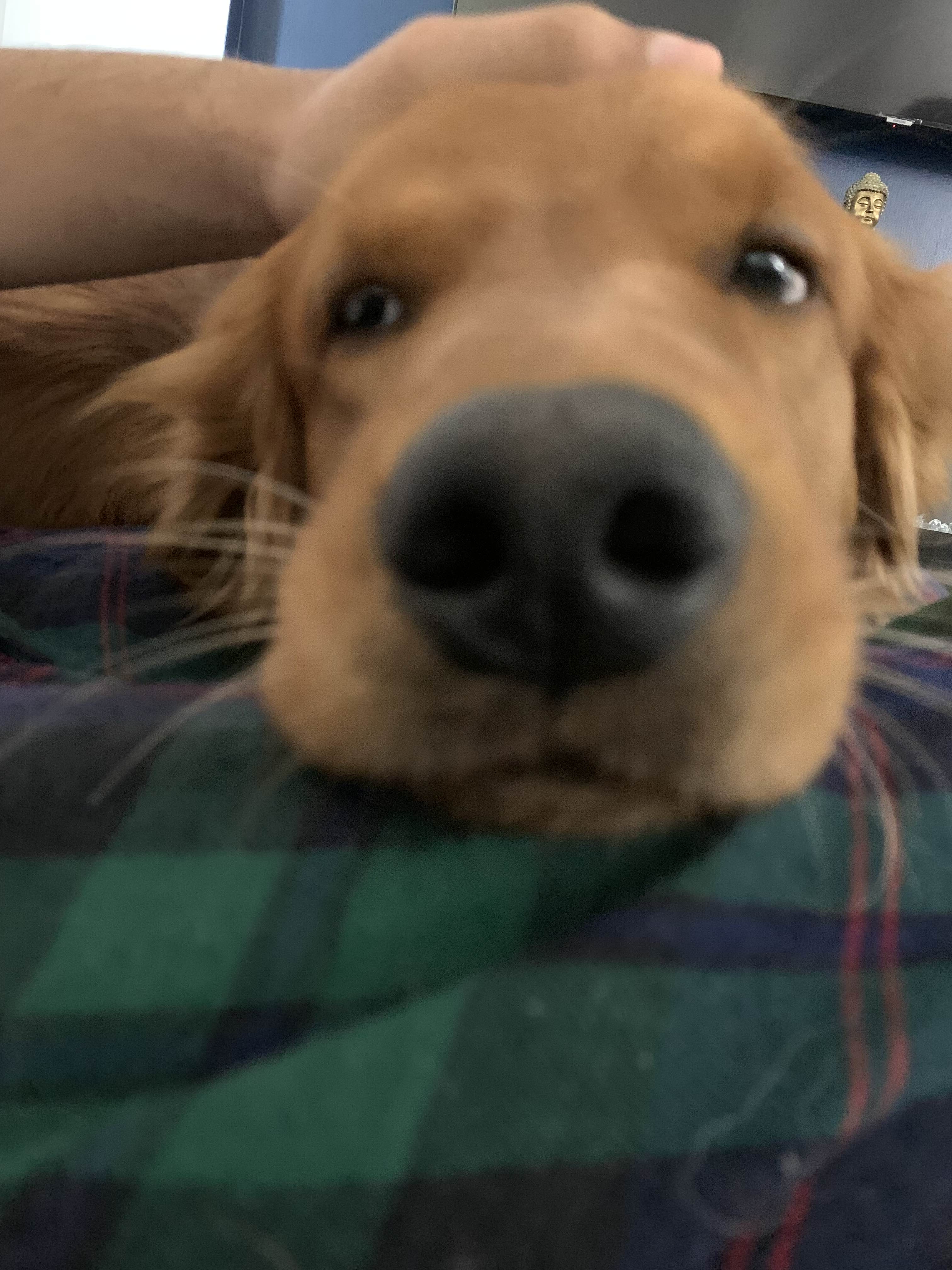 ShimadaX Summer Gaming Gallery & Community Highlights - Image 9