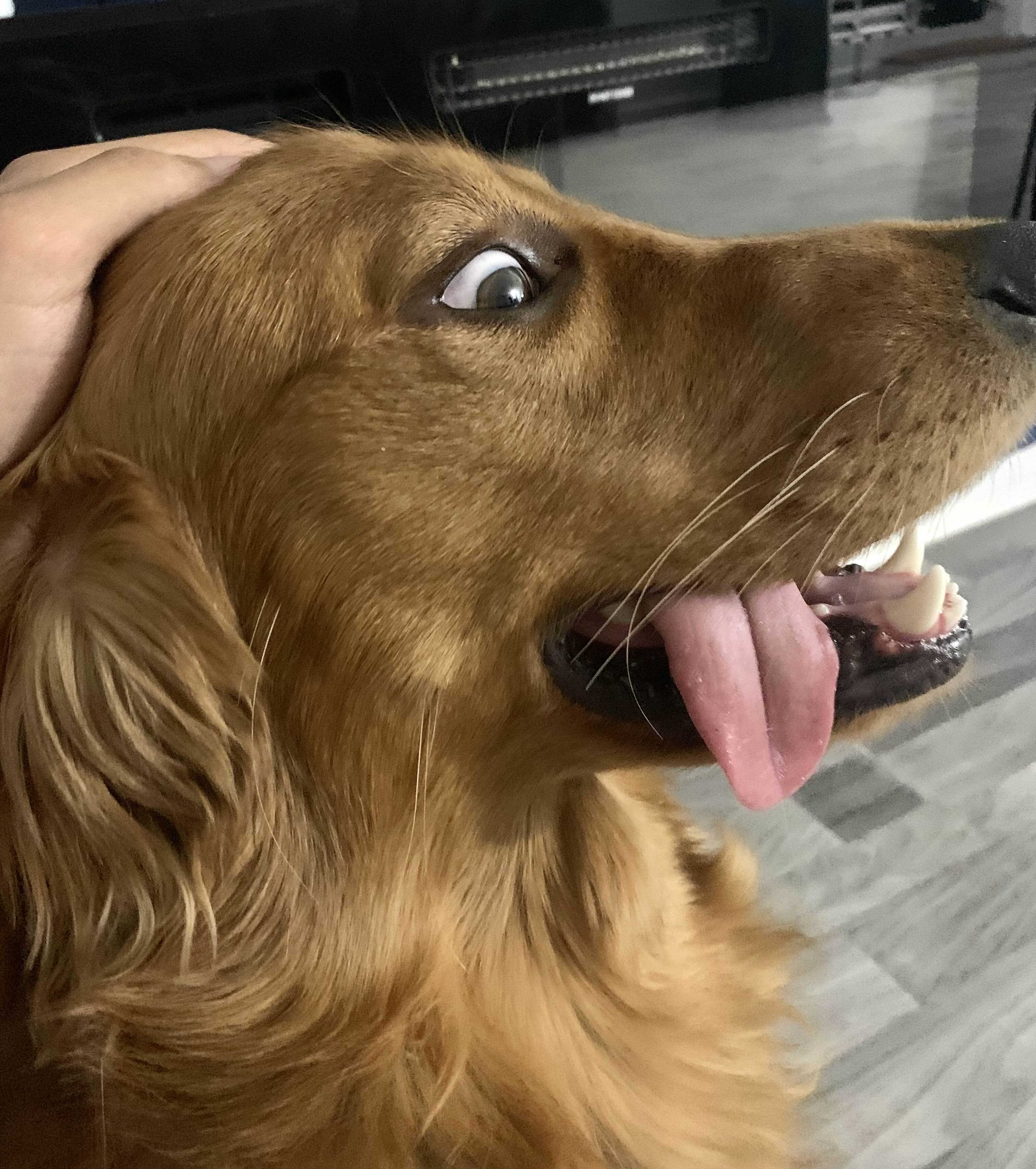 ShimadaX Summer Gaming Gallery & Community Highlights - Image 10