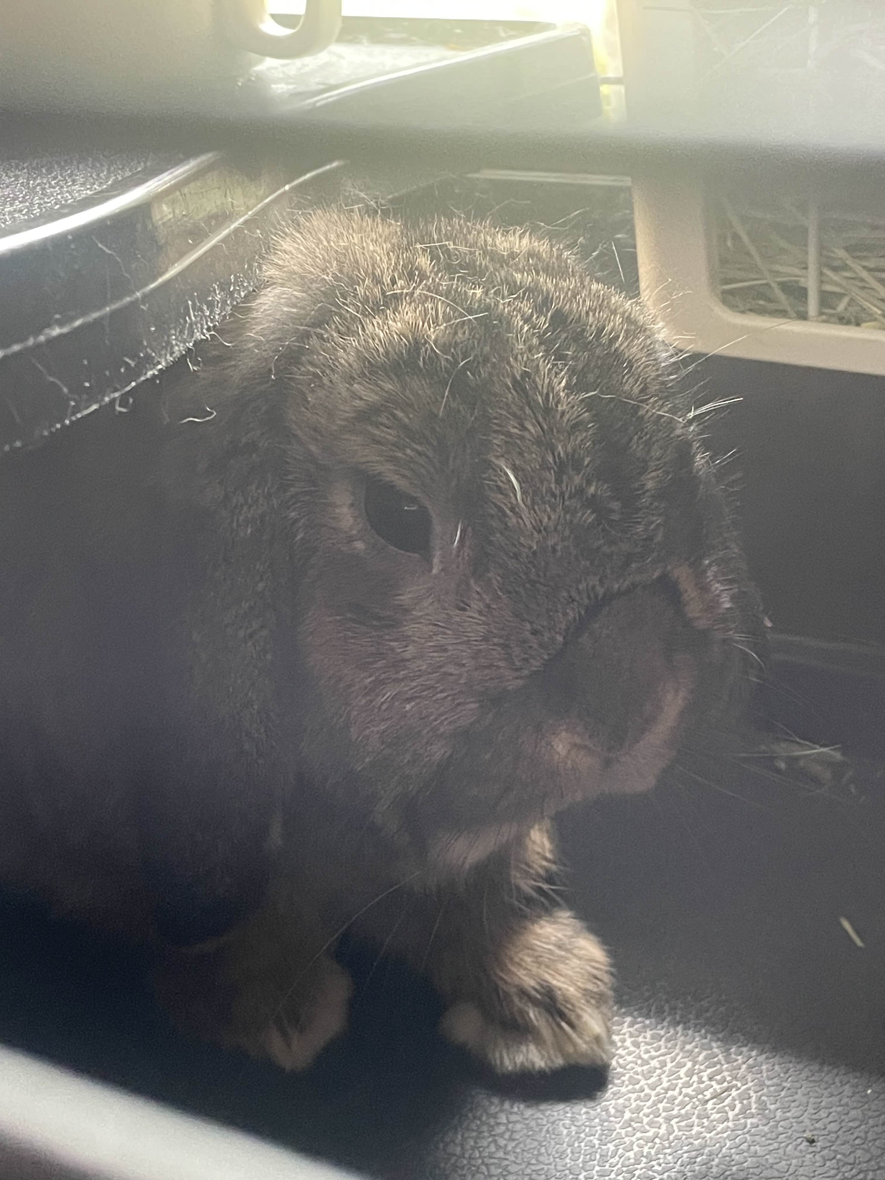 ShimadaX Photo Recap Gaming Night - Image 1