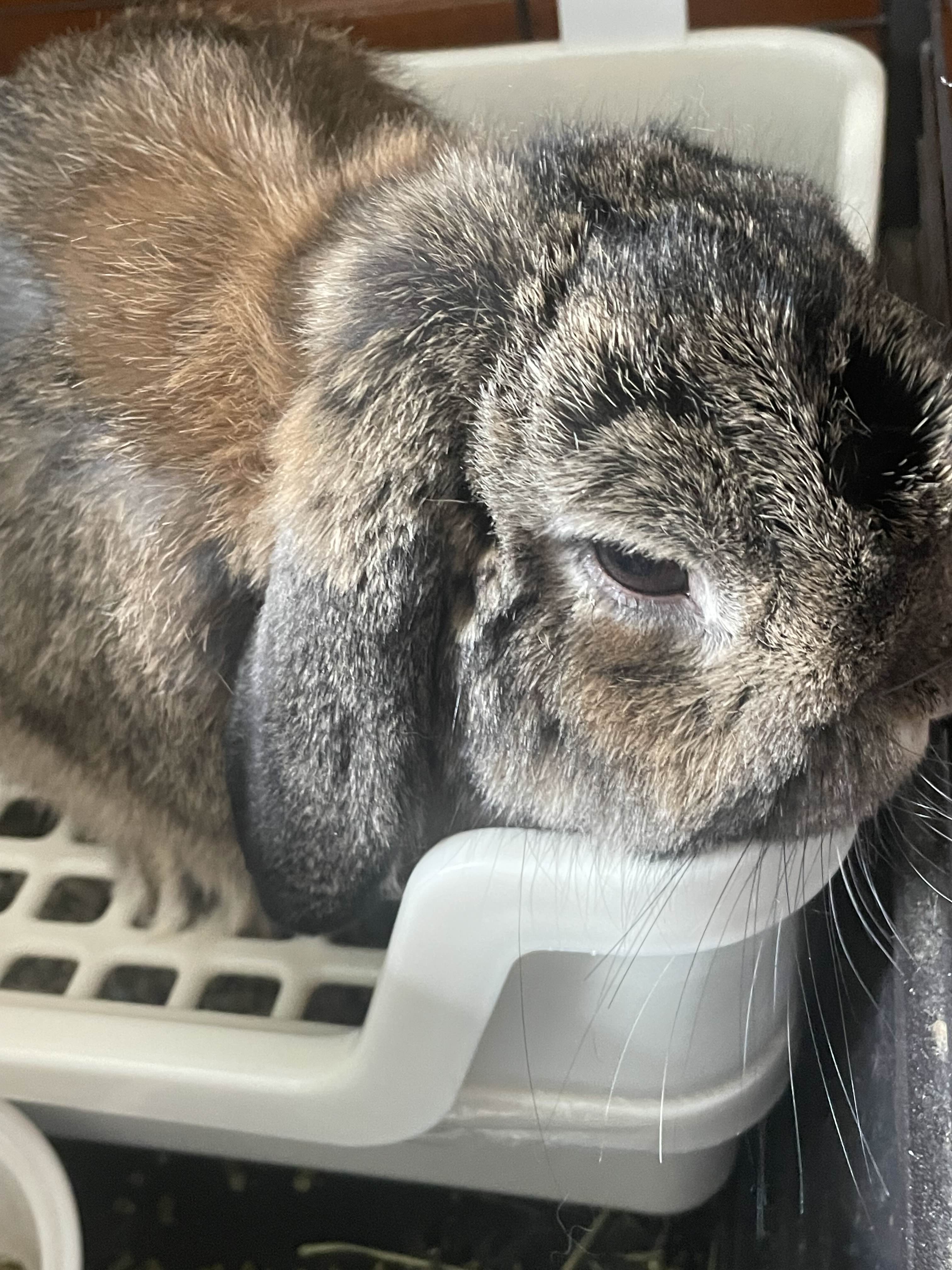 ShimadaX Photo Recap Gaming Night - Image 2