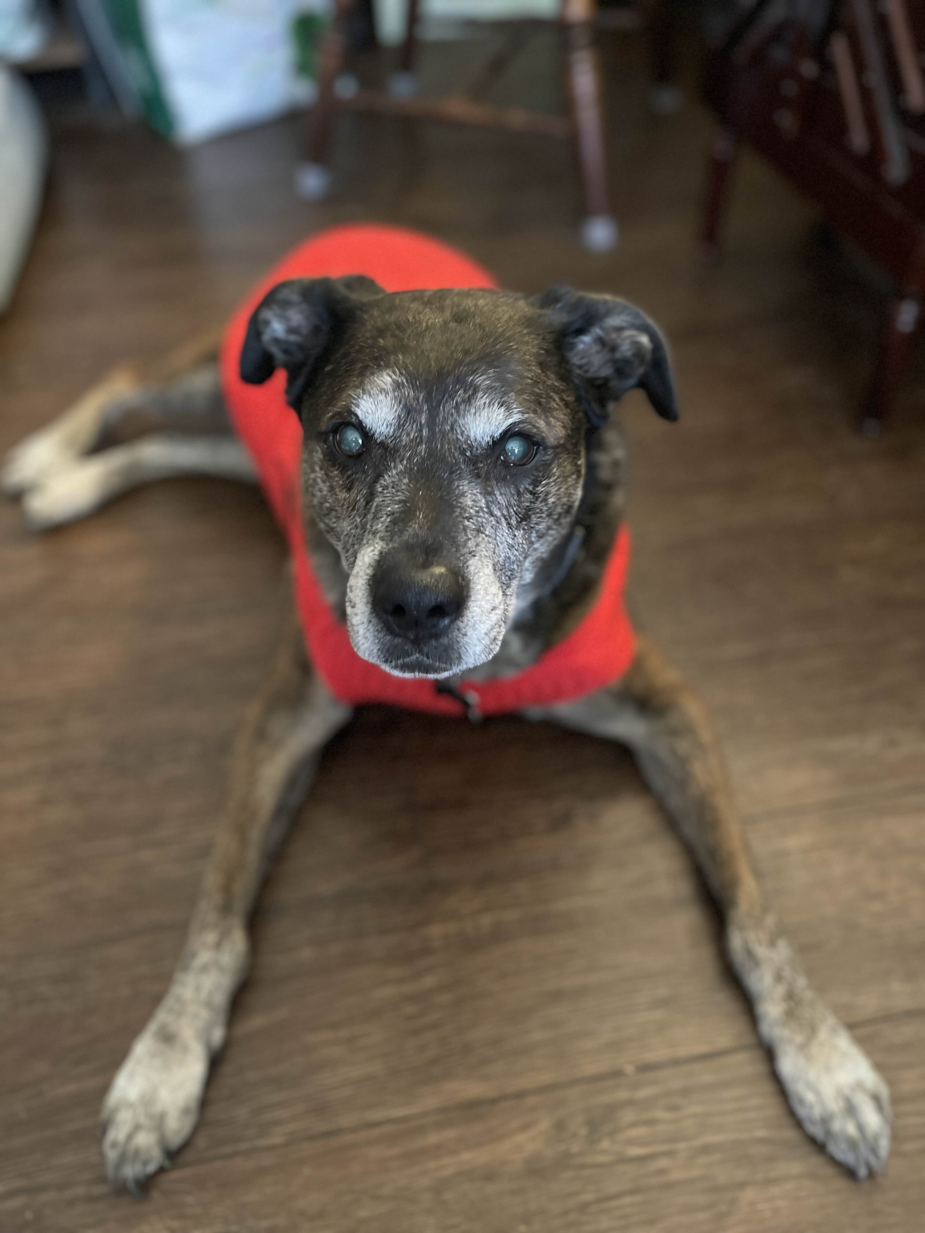 ShimadaX Photo Recap Gaming Night - Image 3