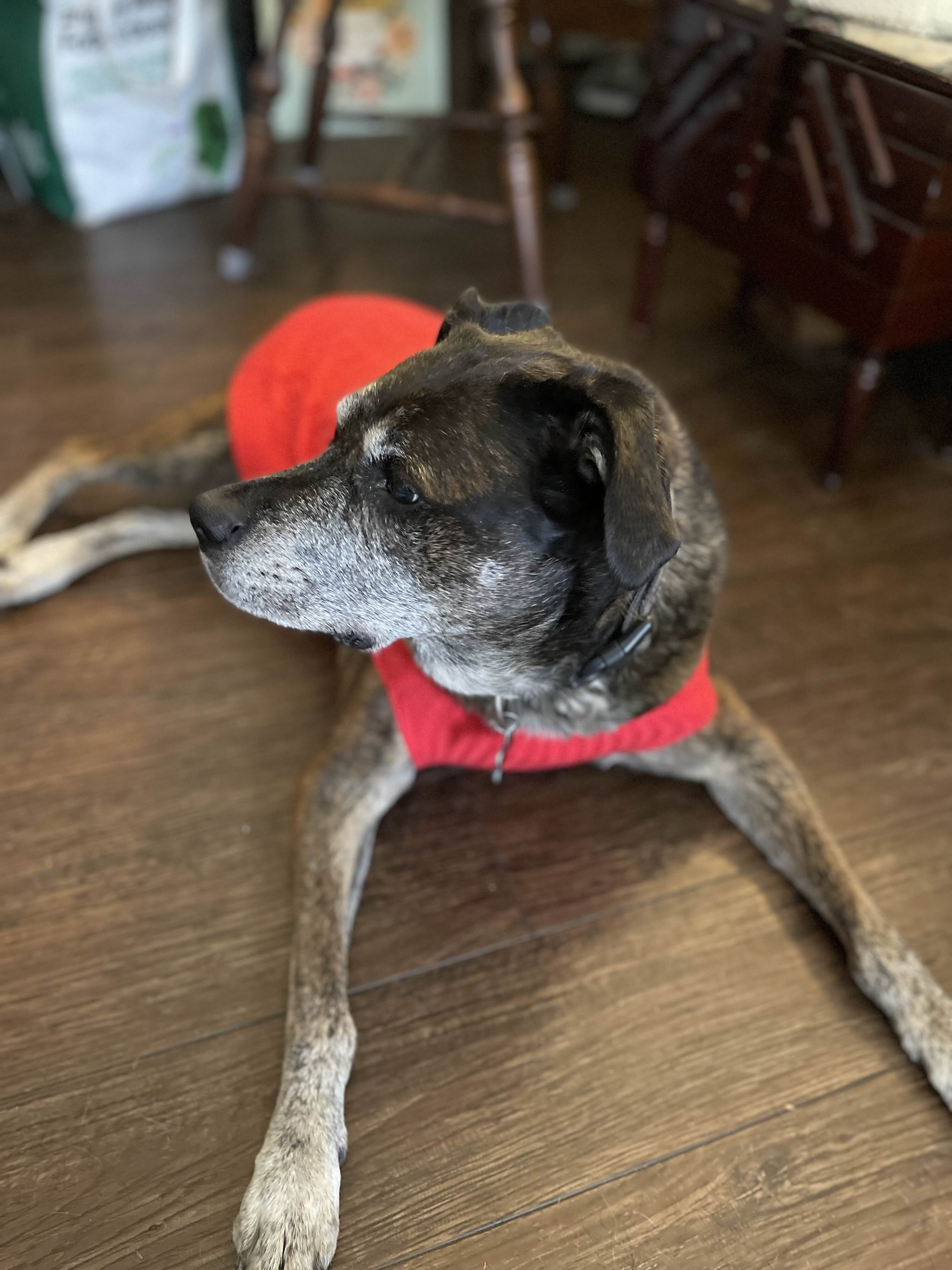 ShimadaX Photo Recap Gaming Night - Image 4