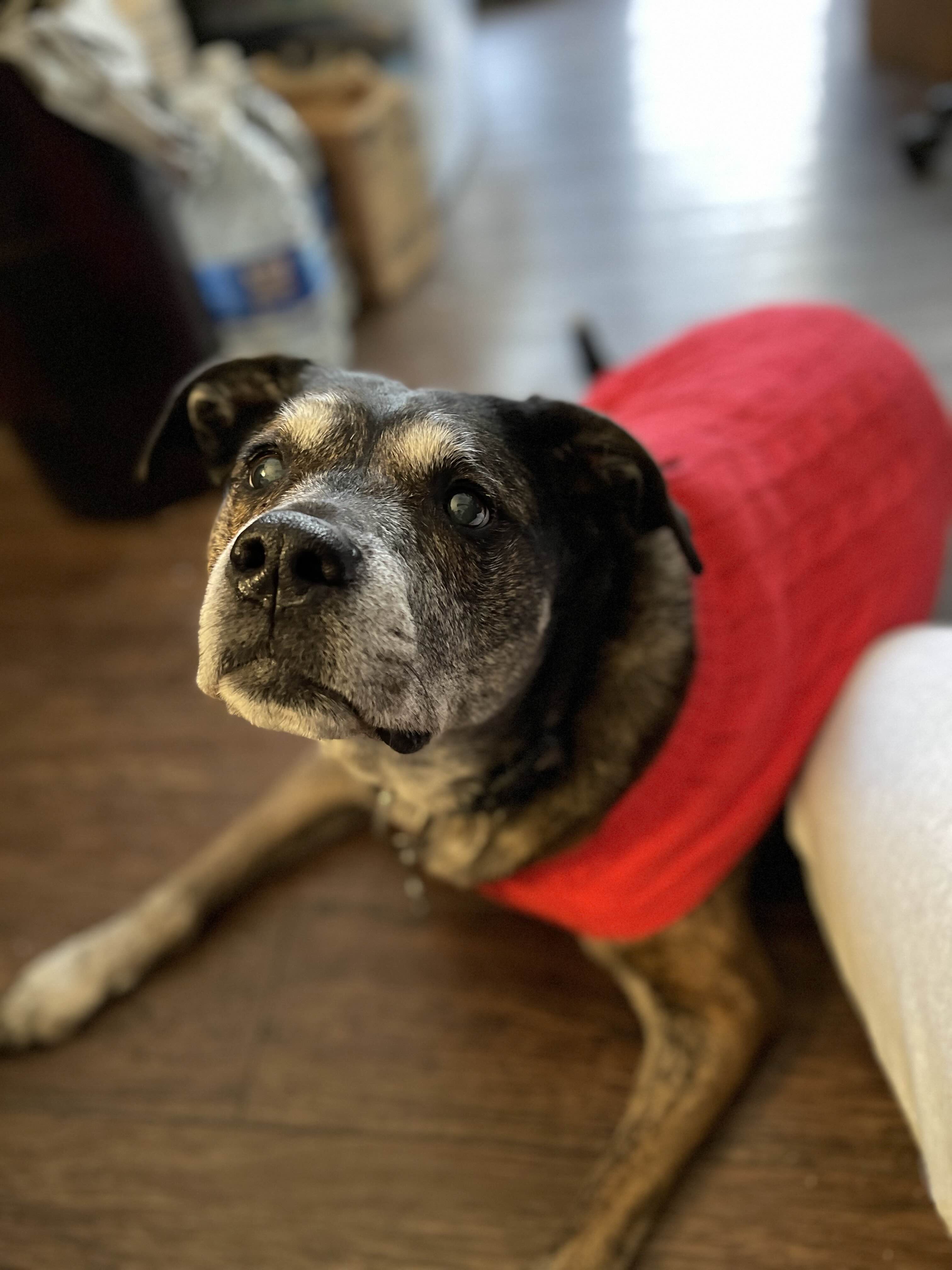 ShimadaX Photo Recap Gaming Night - Image 5