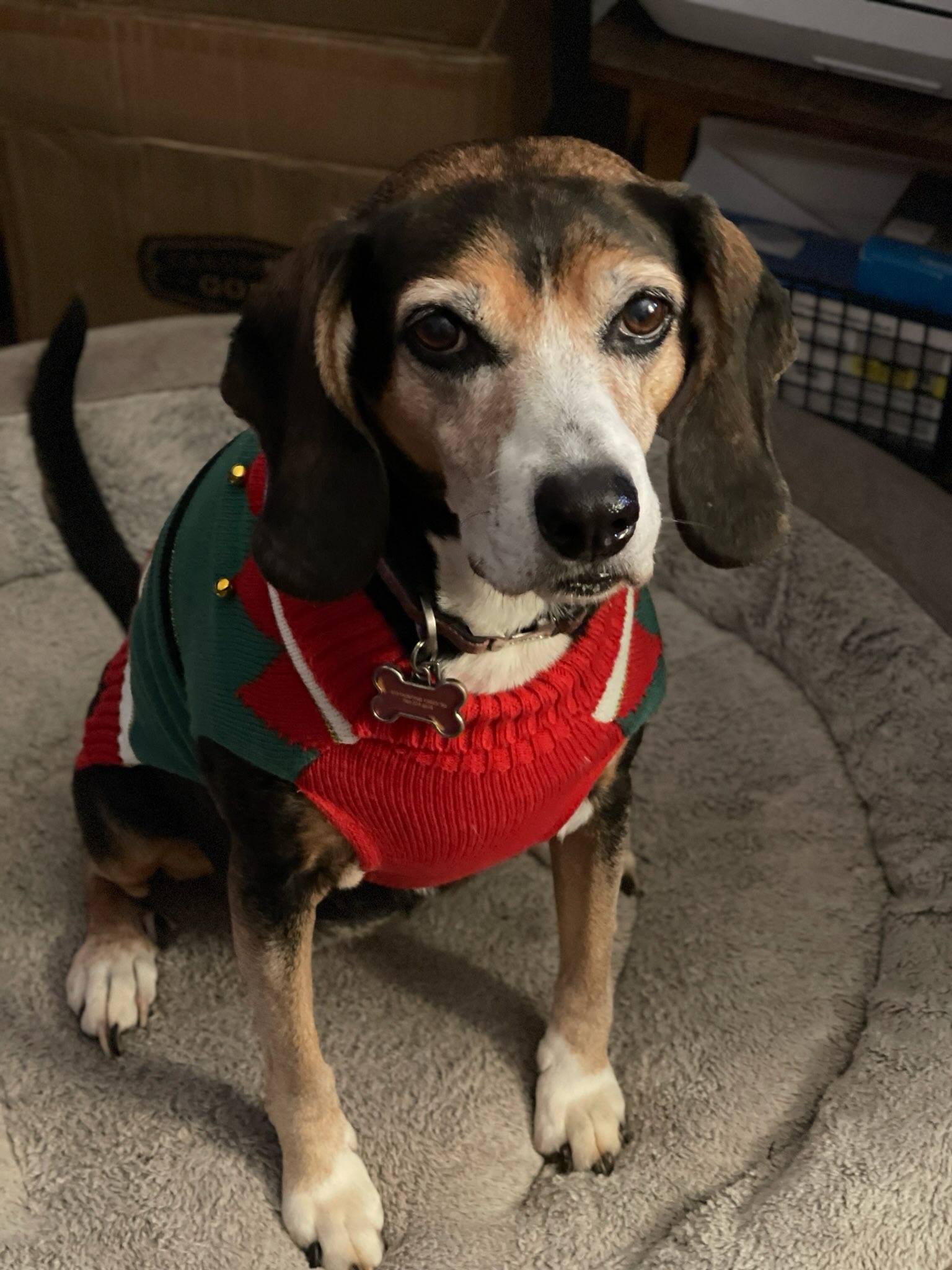 ShimadaX Photo Recap Gaming Night - Image 6