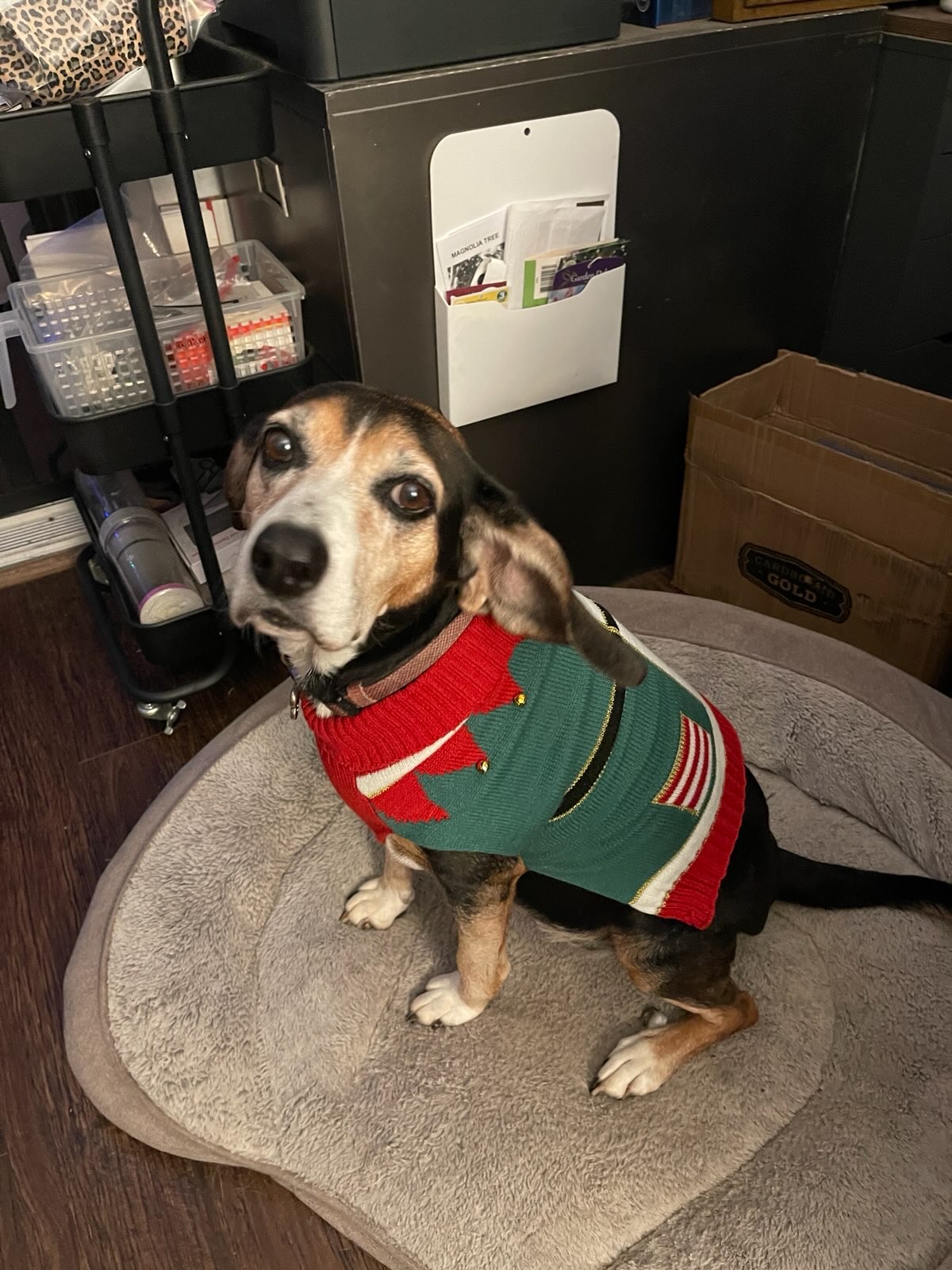 ShimadaX Photo Recap Gaming Night - Image 7