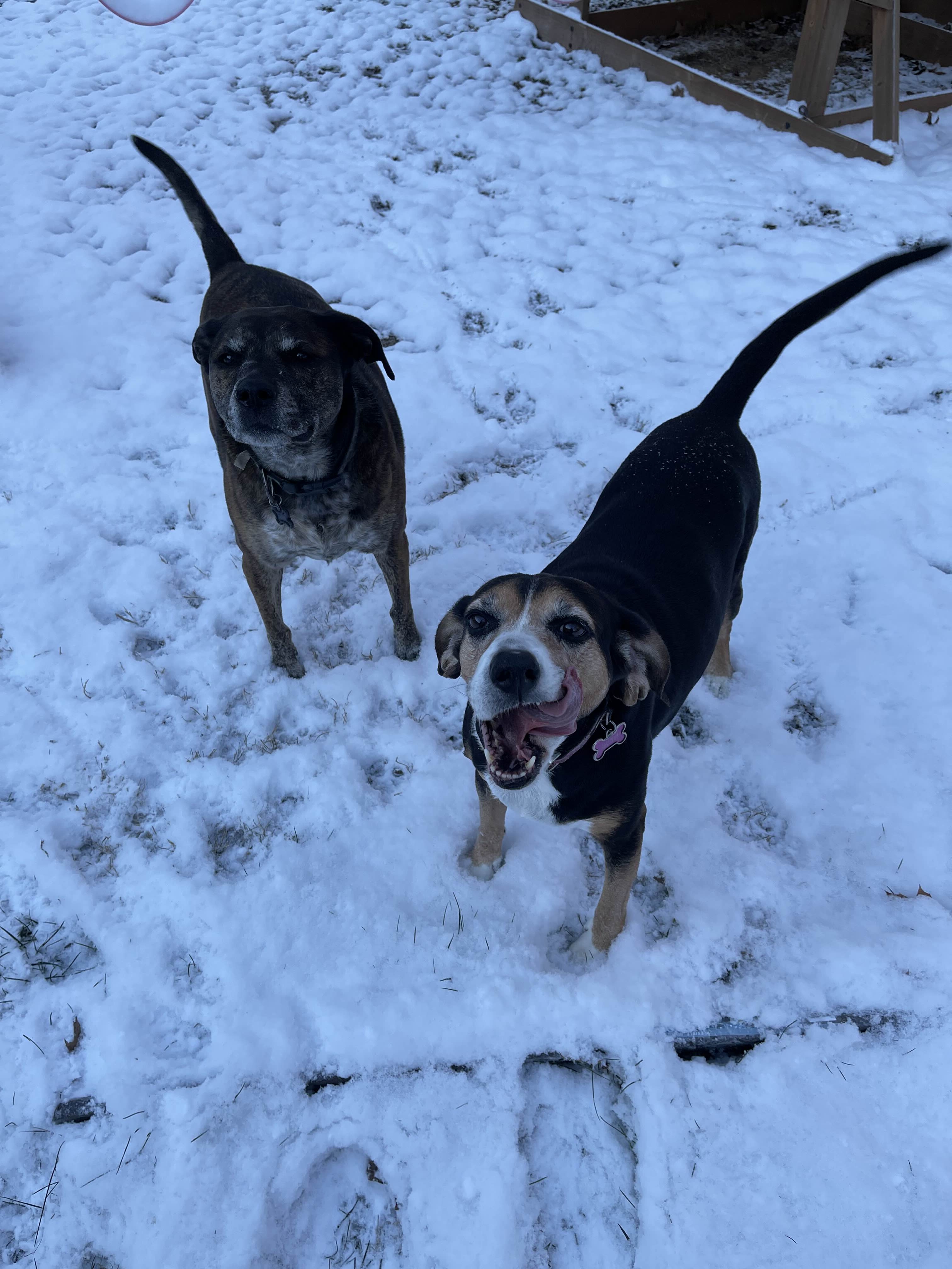 ShimadaX Photo Recap Gaming Night - Image 8