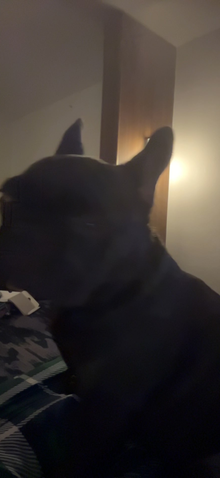 ShimadaX Launch Active Gaming Community Update - Image 1