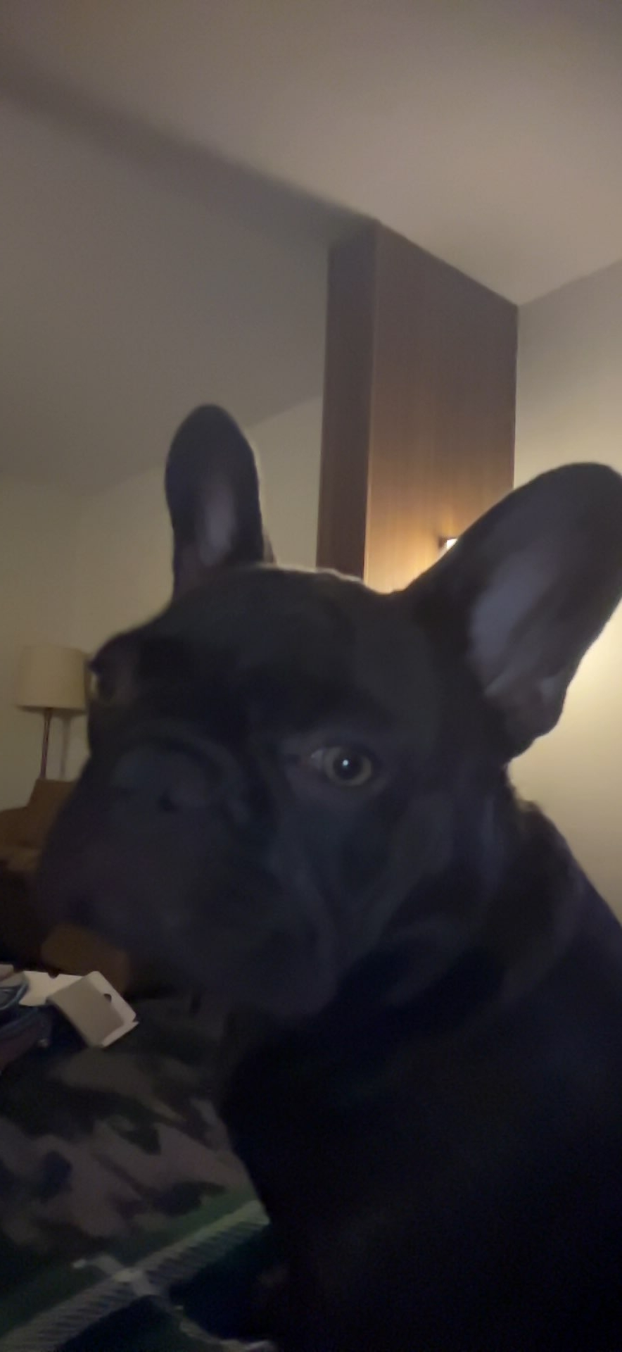 ShimadaX Launch Active Gaming Community Update - Image 2