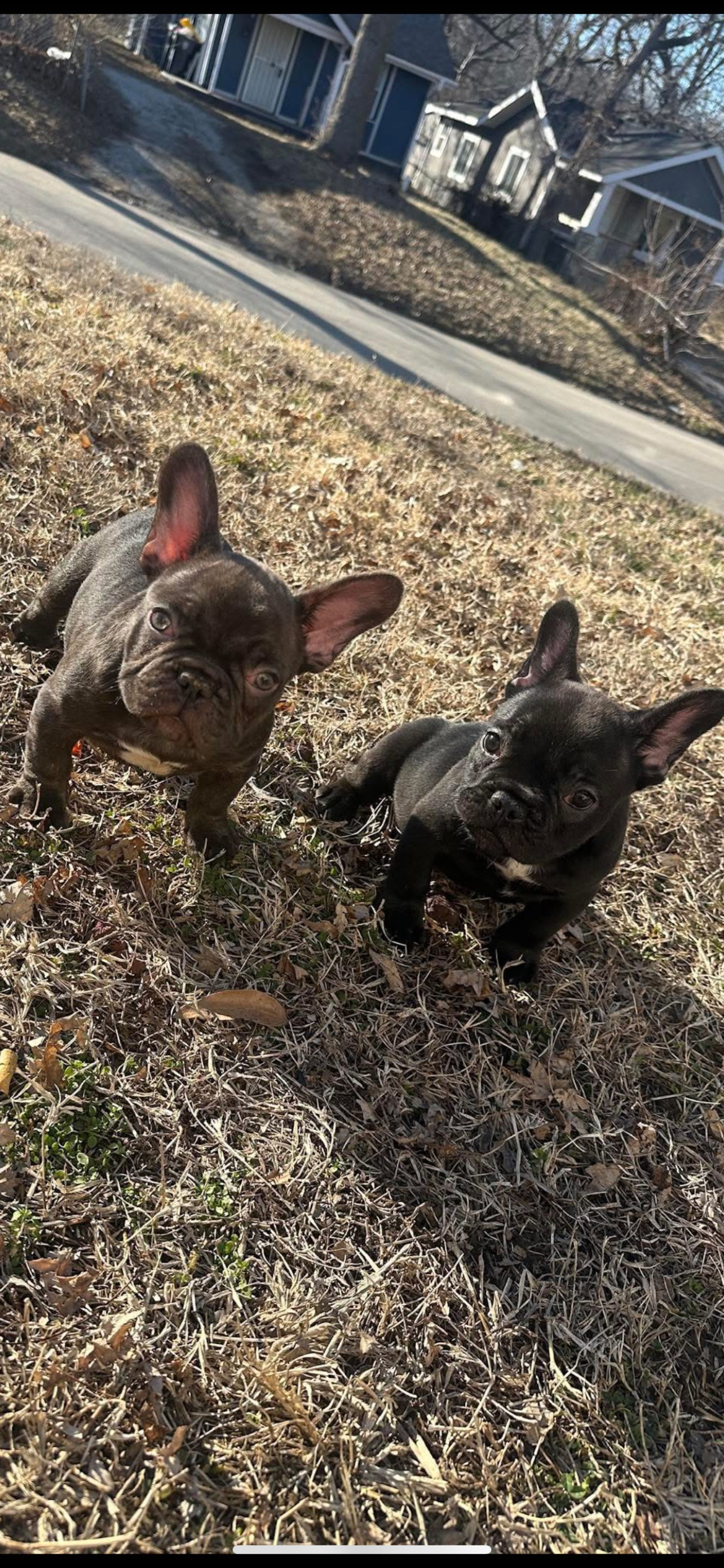 ShimadaX Launch Active Gaming Community Update - Image 3