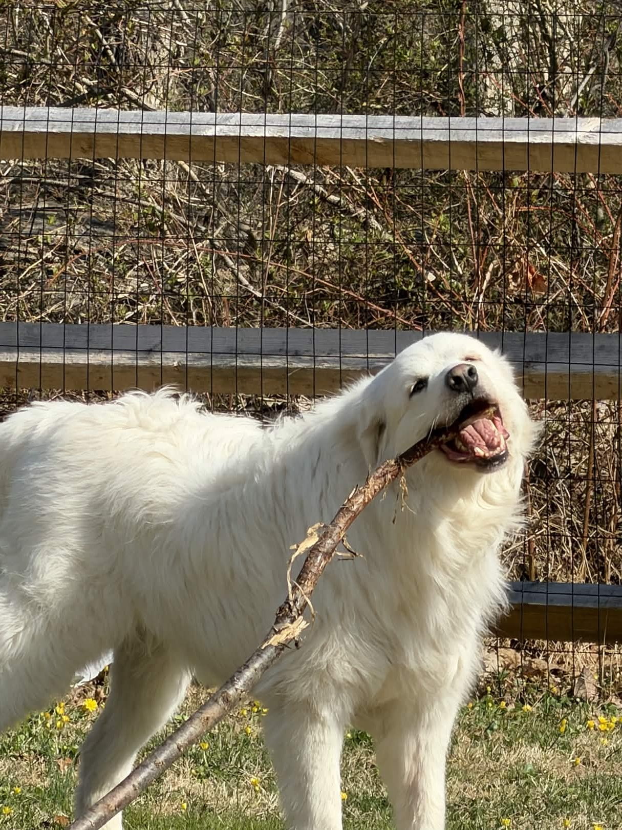 ![IMG_2894.jpg](https://cdn.discordapp.com/attachments/1408168152910794856/1491537195369107638/IMG_2894.jpg?ex=69d80dc2&is=69d6bc42&hm=a026525c199ad7e78395a2b296311817487ed54c50cf3a8ab17f93ac1b883fb1&)