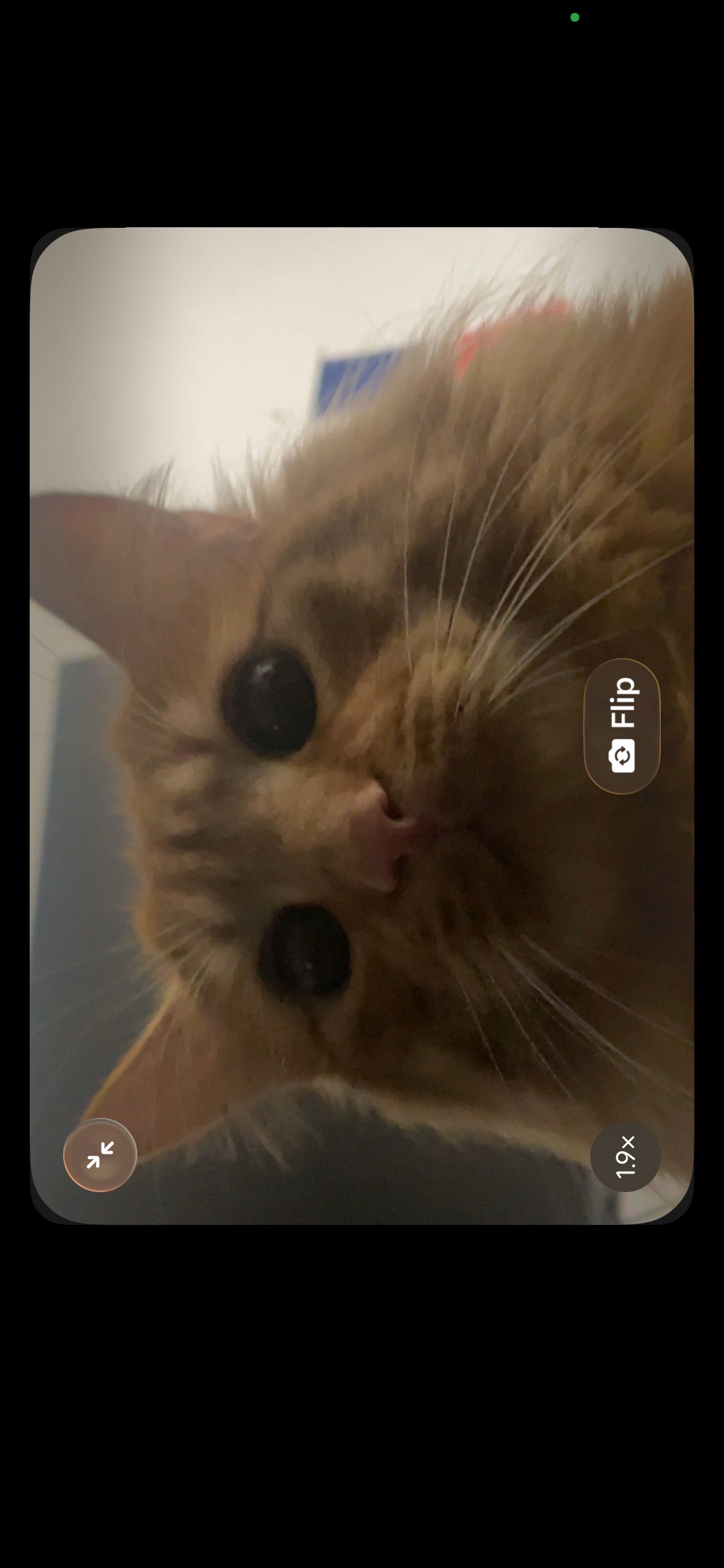 ShimadaX Community Update New Banner & Event - Image 2