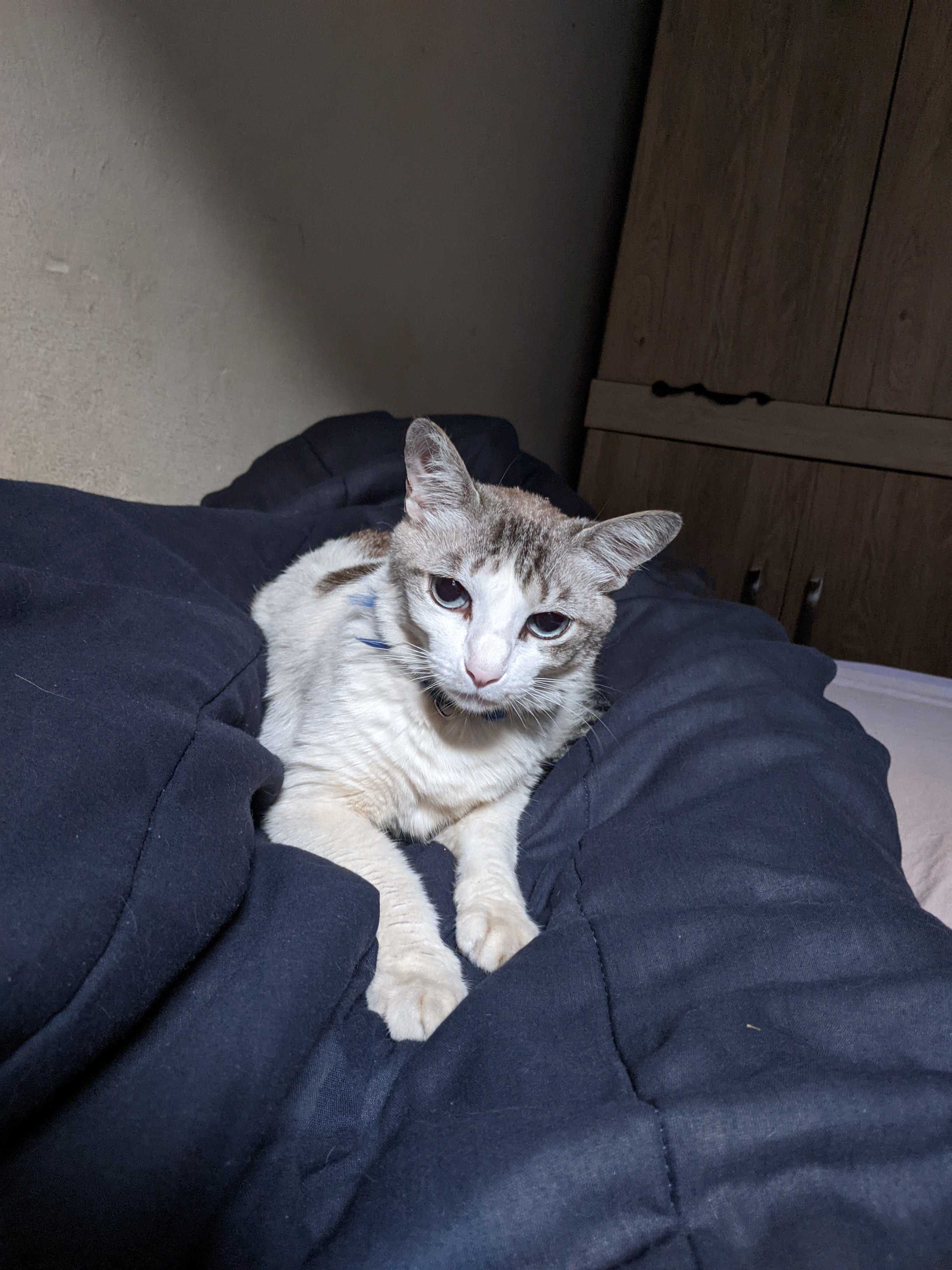 ShimadaX Event Photos and Community Highlights - Image 1