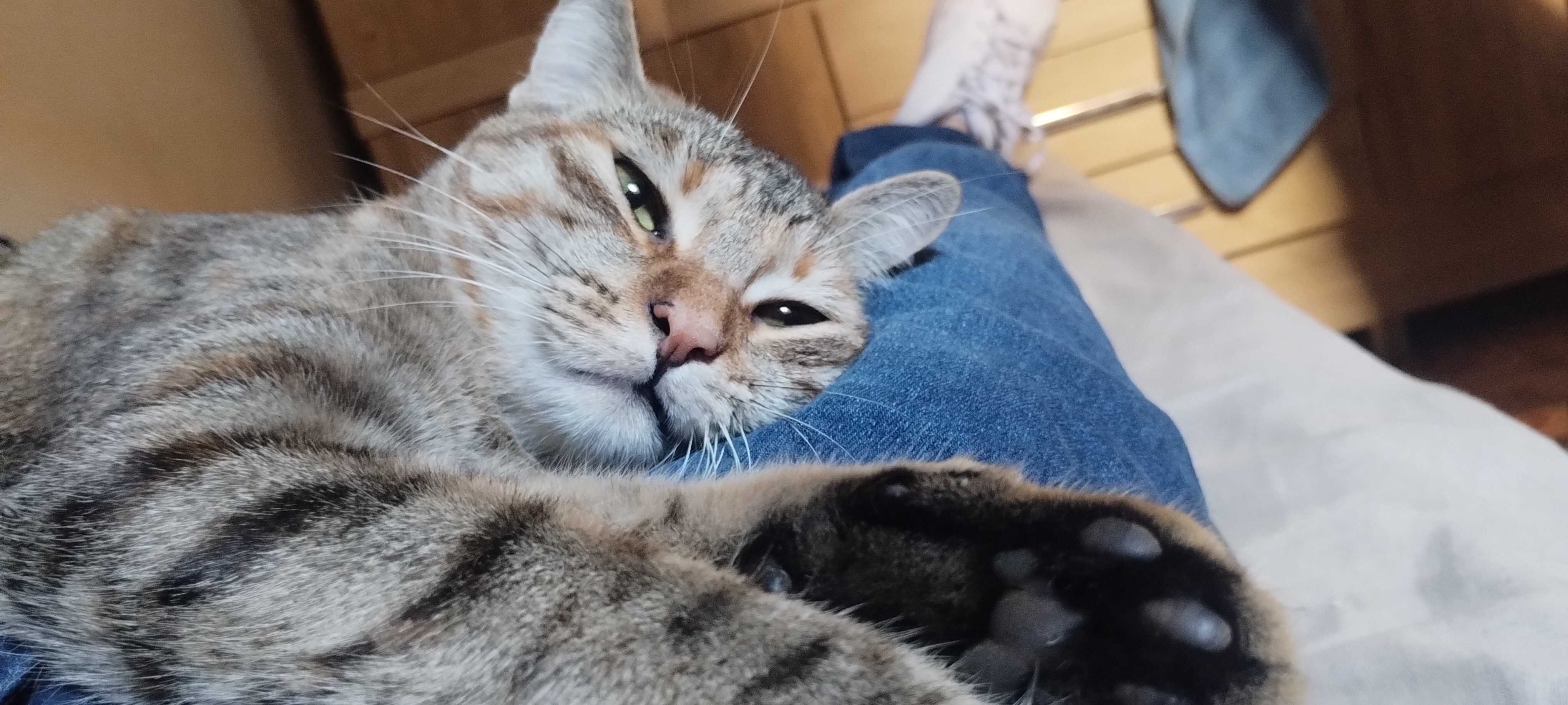 ShimadaX Event Photos and Community Highlights - Image 2