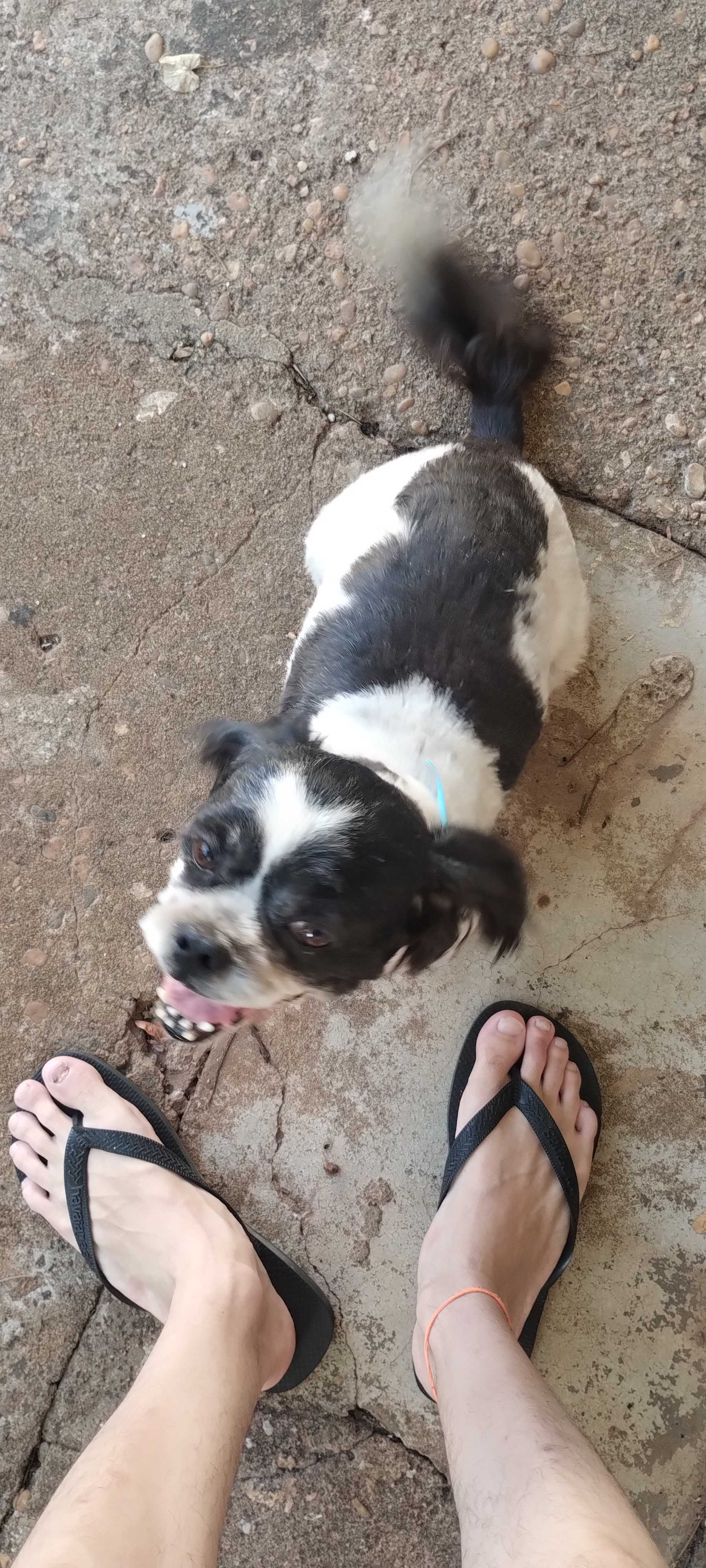 ShimadaX Event Photos and Community Highlights - Image 3