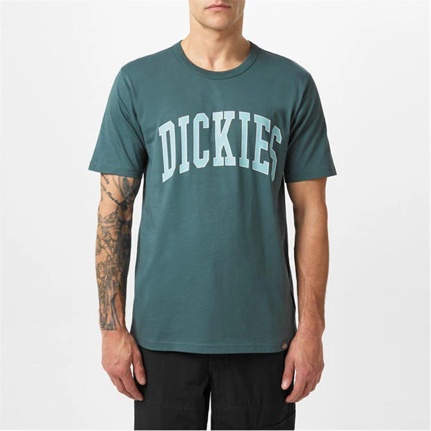 Dickies - Aitkin T-shirt