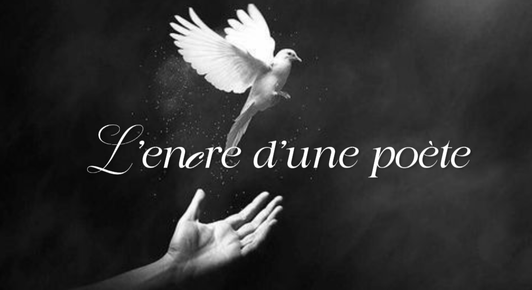 Nouvelle chanson IA cadeau de Noël RAYNIES