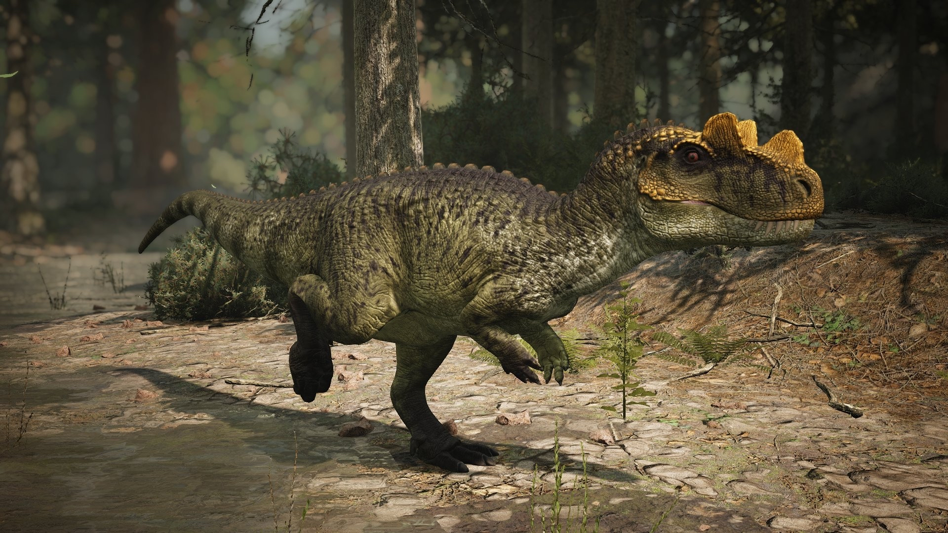 Ceratosaurus