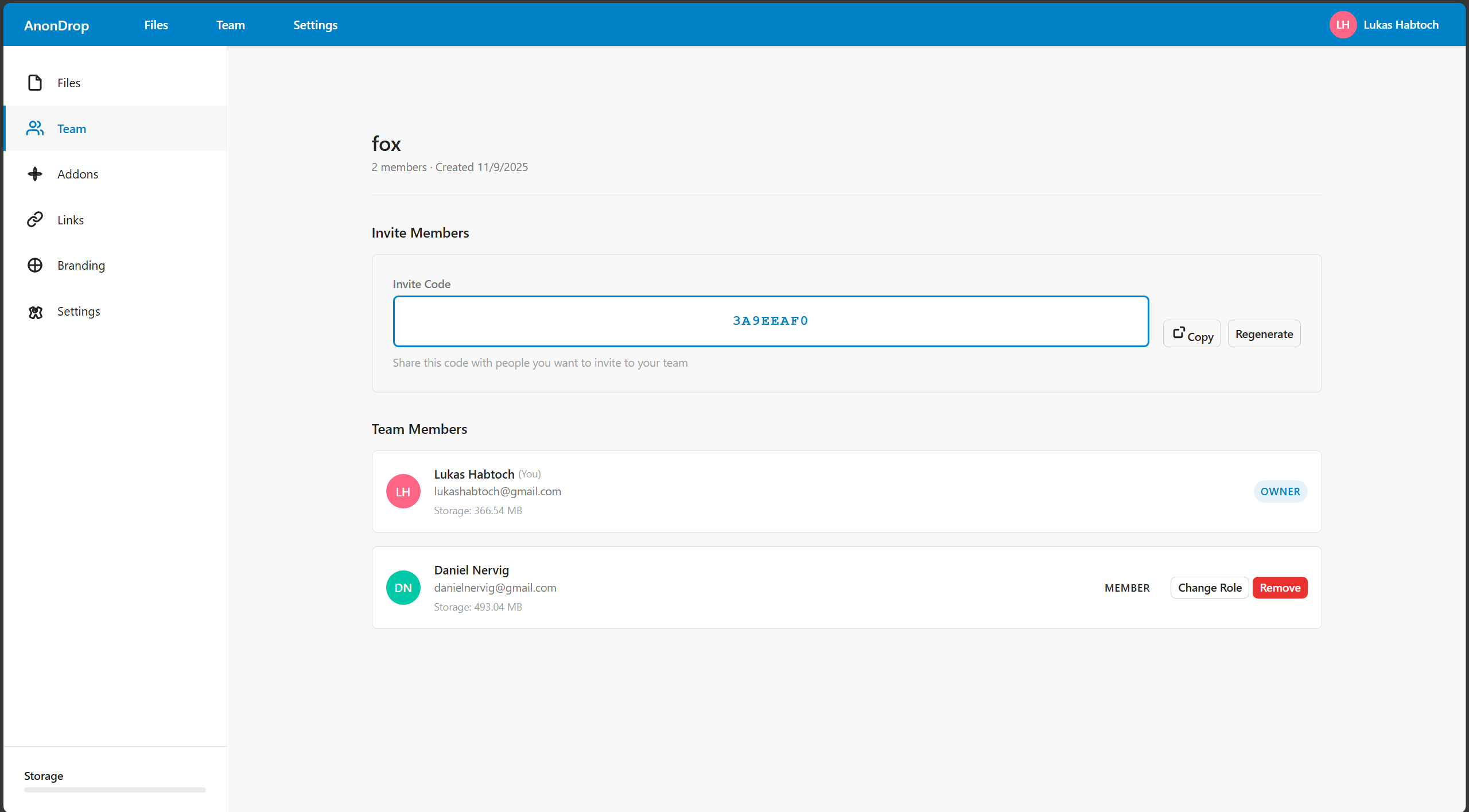 Working on a new professional cloud storage provider