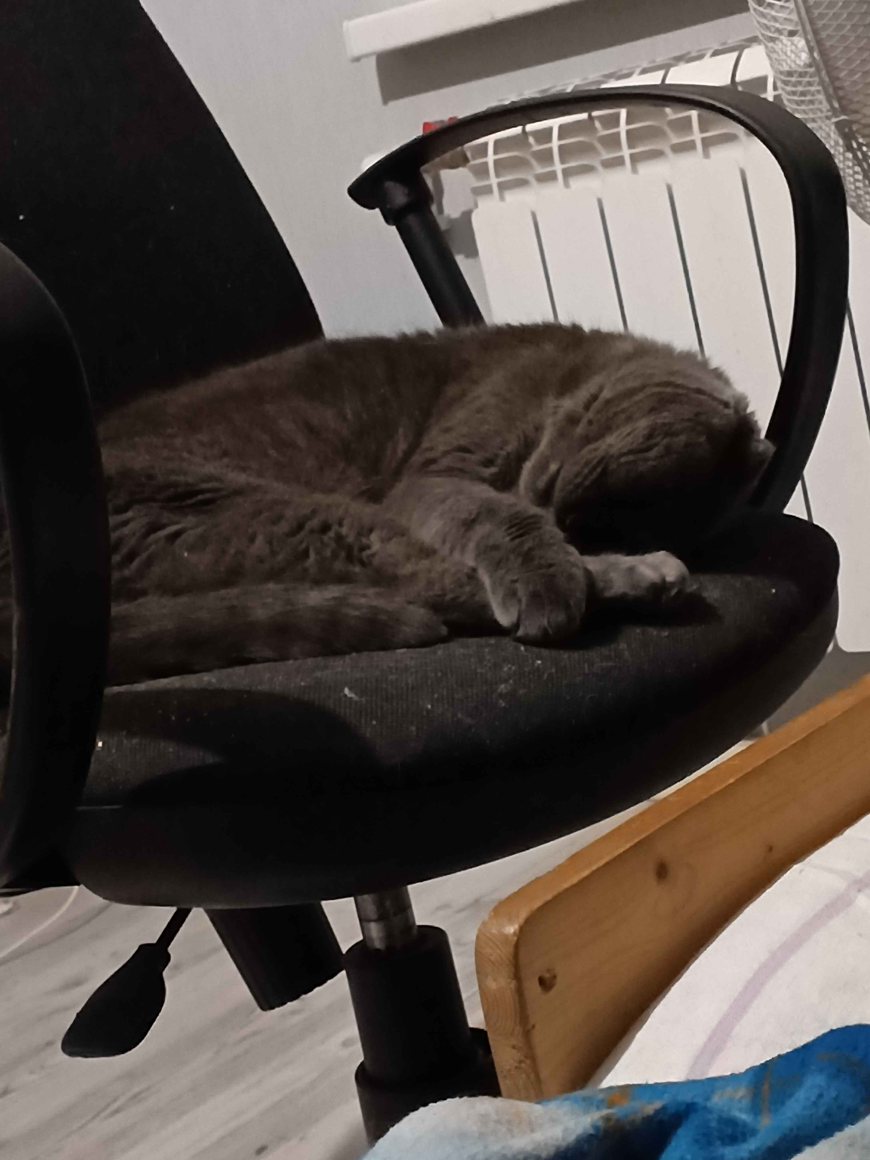 New Member Intro and Interests - Image 3