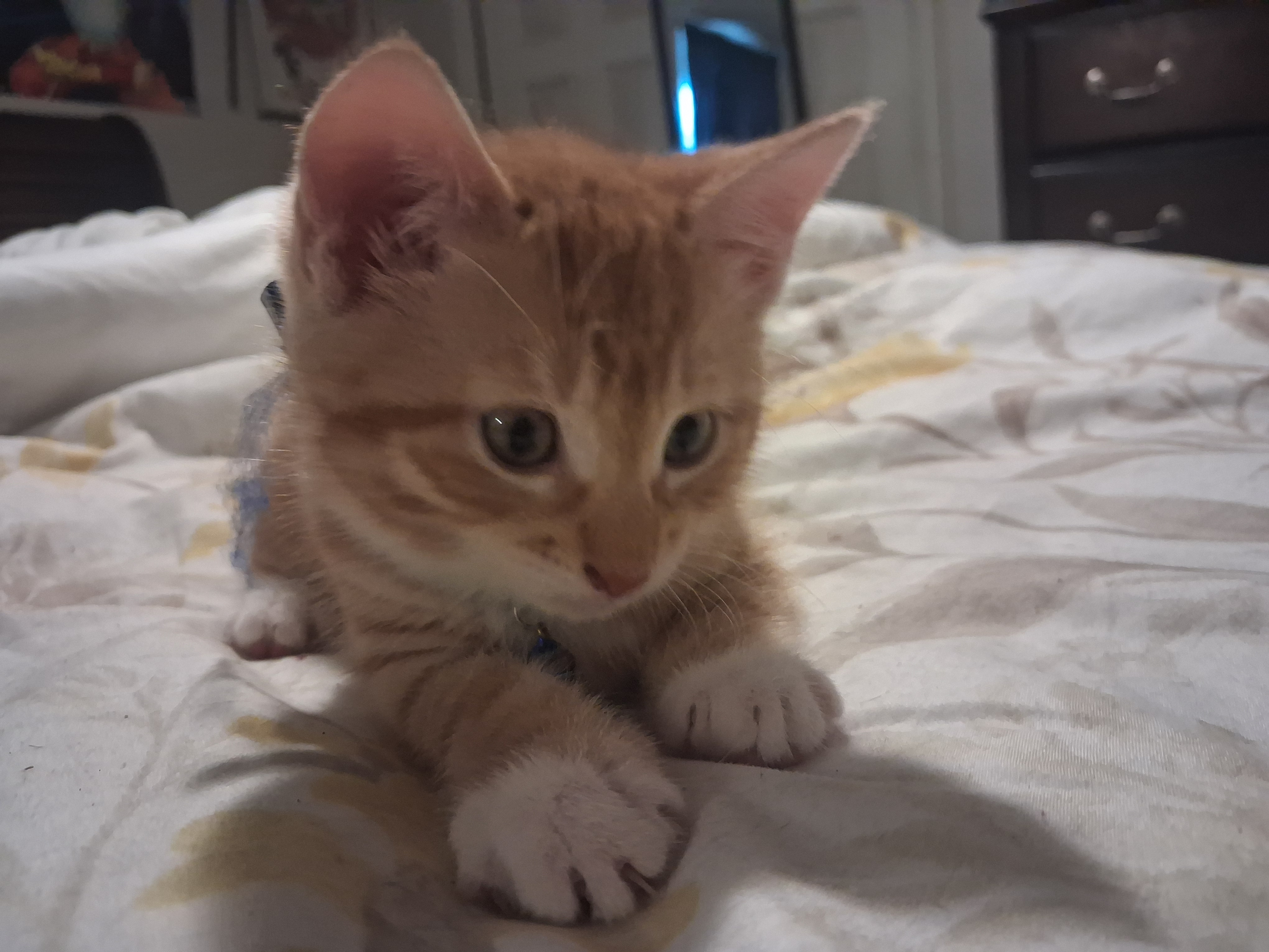 New Member Photos Shared in The Sanctuary - Image 1