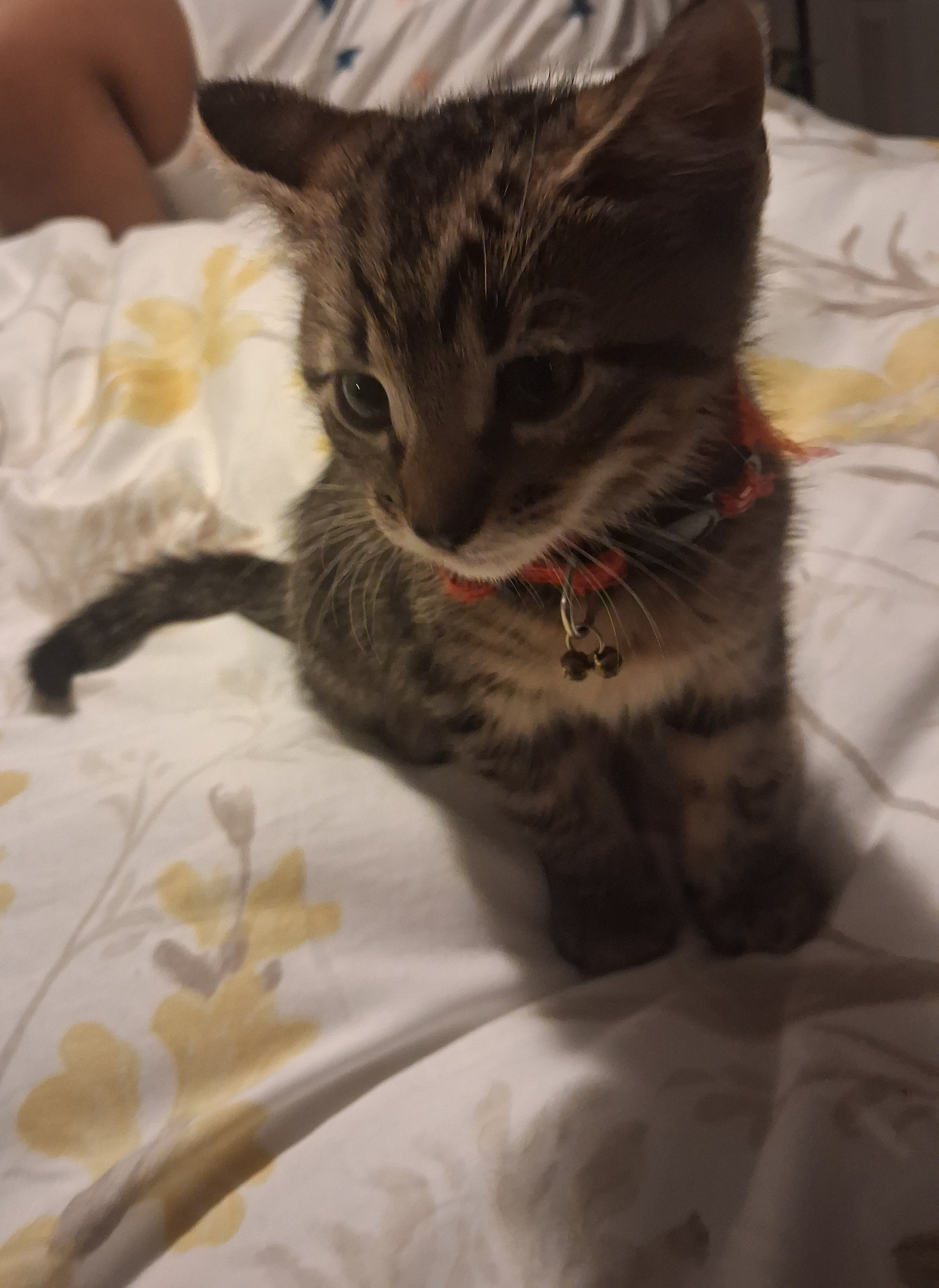 New Member Photos Shared in The Sanctuary - Image 2