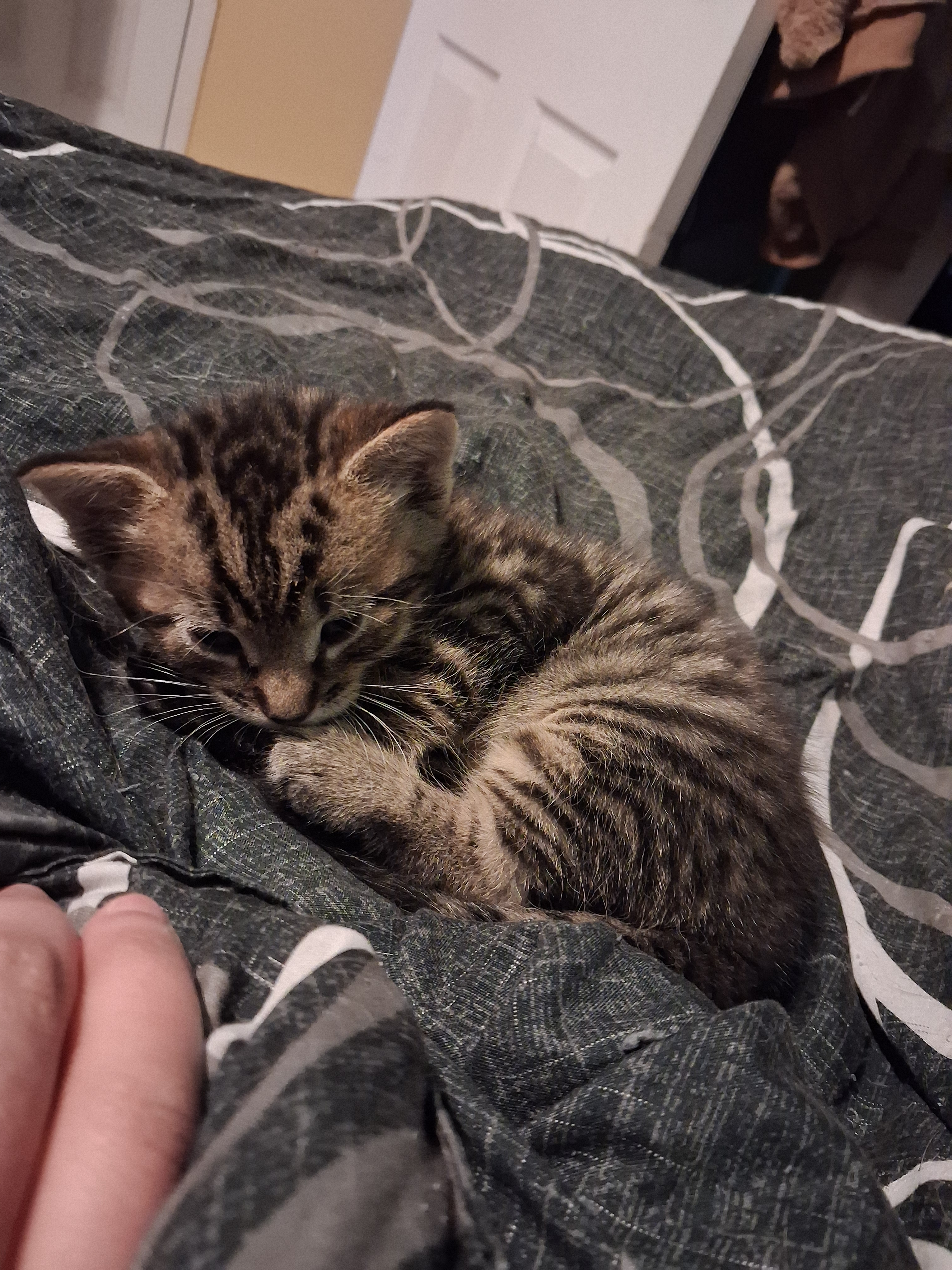 New Member Photos Shared in The Sanctuary - Image 3