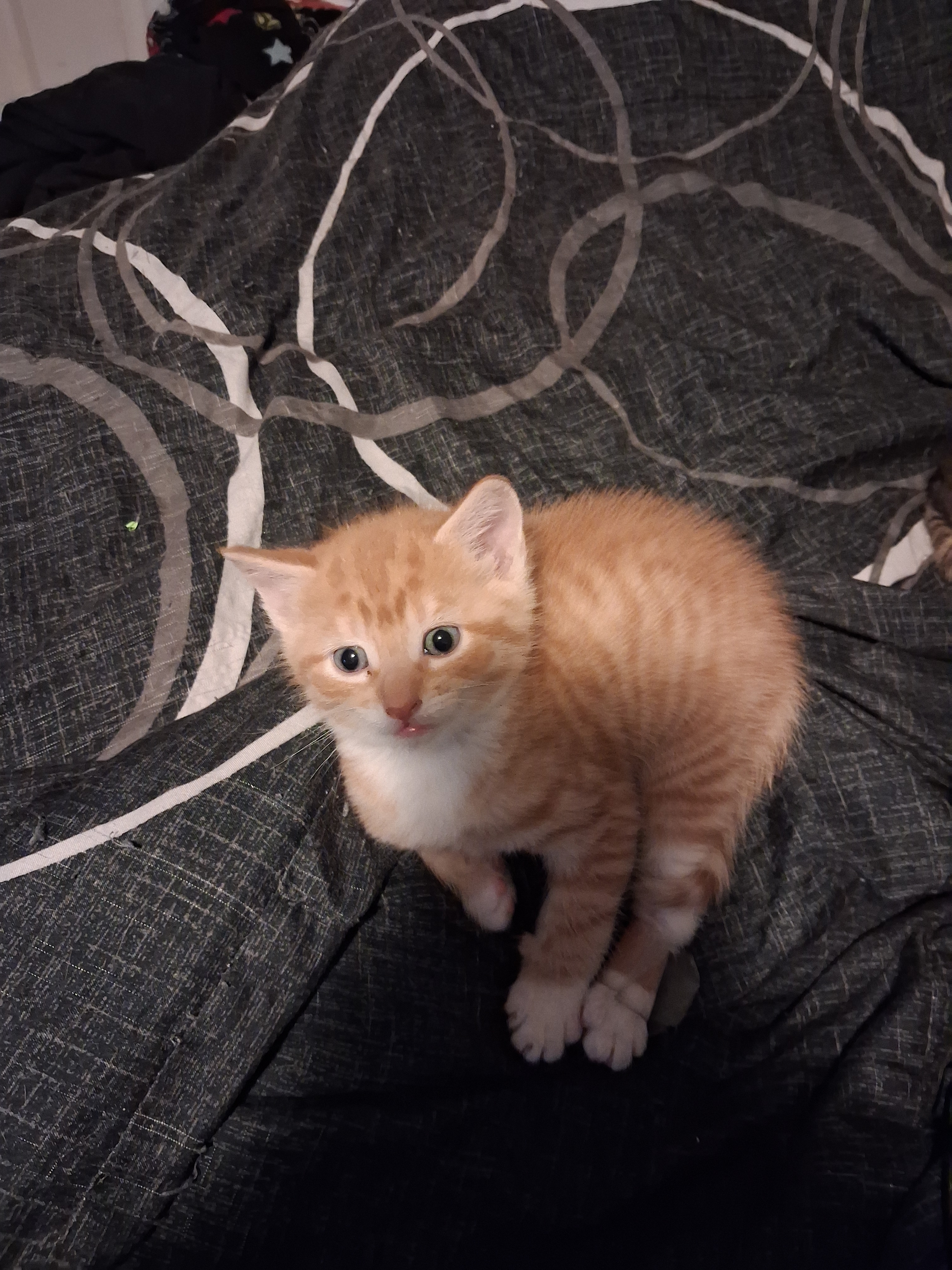 New Member Photos Shared in The Sanctuary - Image 4