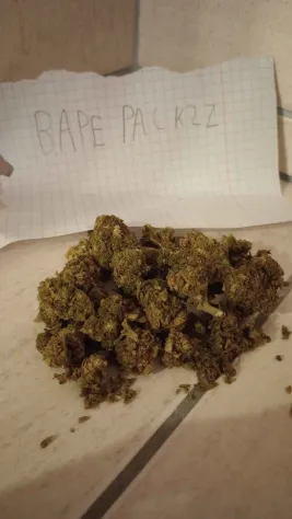 amnesia haze