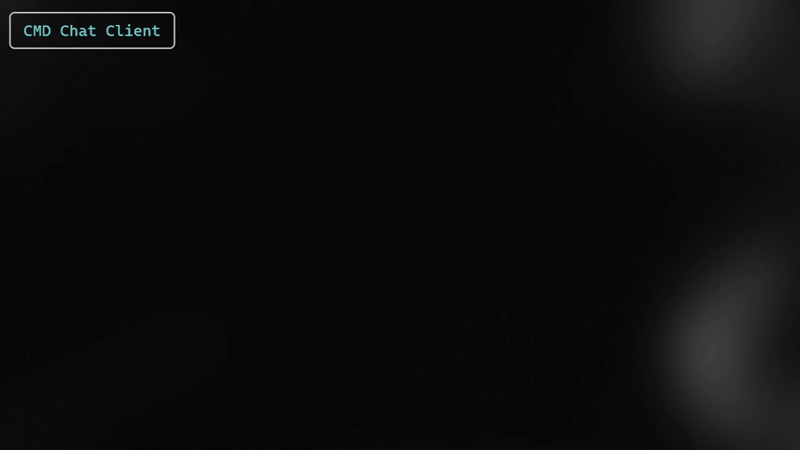 RAM-Only, End-to-End Encrypted Terminal Chat (Python)