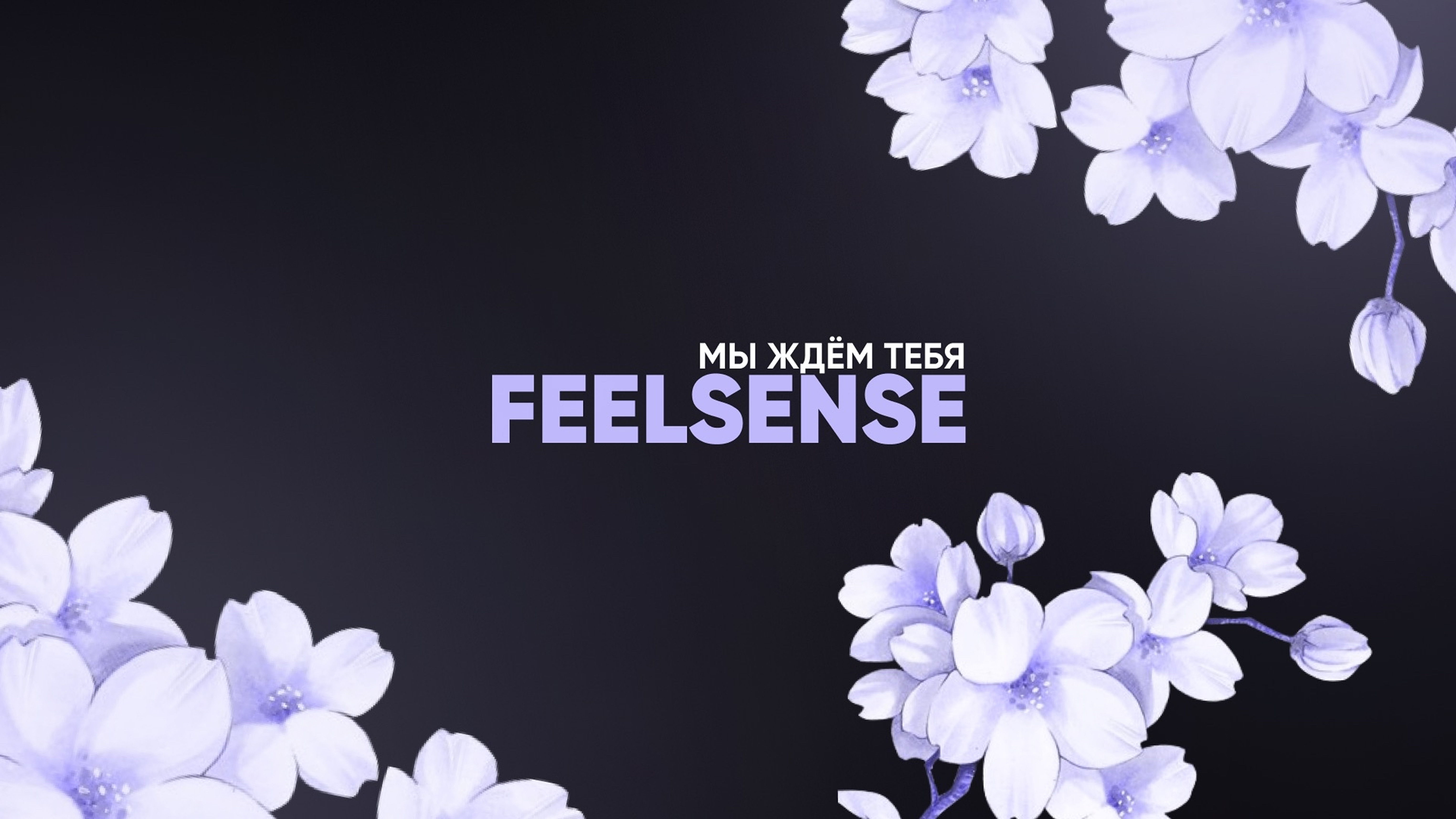 FEELSENSE / SOON