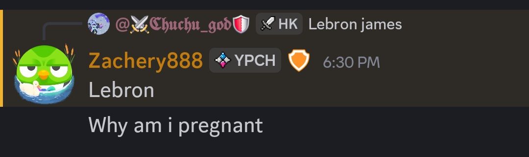 Screenshot_20260404_183029_Discord.jpg