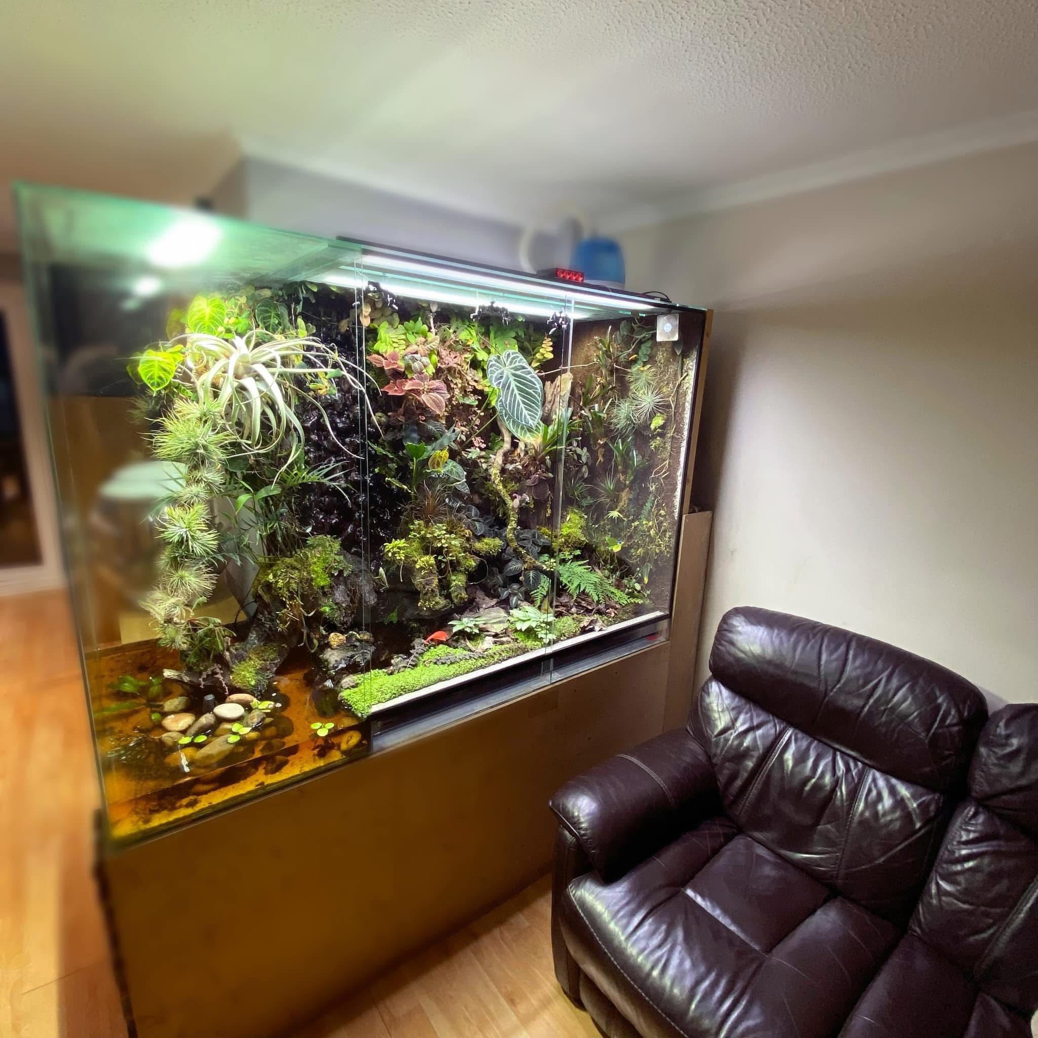 Exotics Thread Reptiles & Unusual Pets