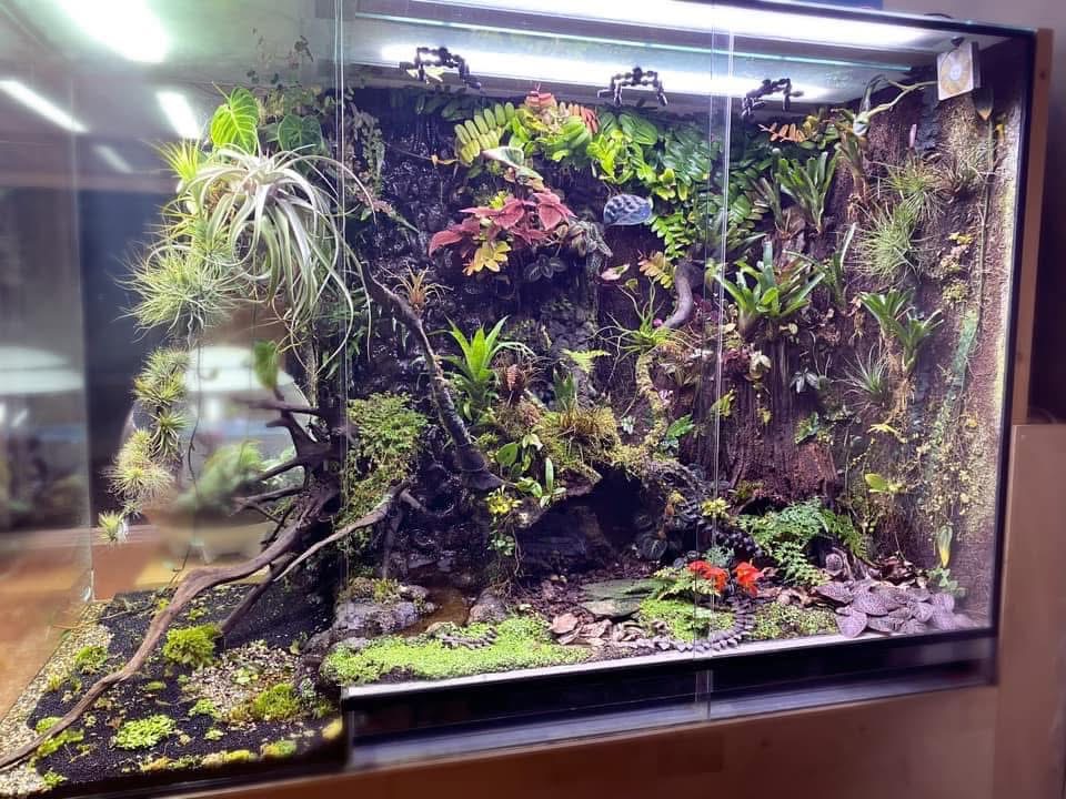 Exotics Thread Reptiles & Unusual Pets