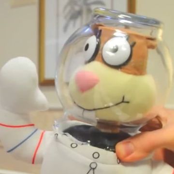 Sandy Cheeks (Fried Chili Cheese Dogs/FCCD) [RVC v2] [200 Epochs]