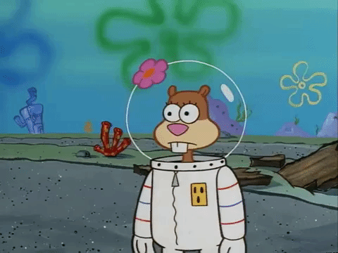 Sandy Cheeks (Spongebob Squarepants, Nickelodeon, RMVPE) 265 Epochs