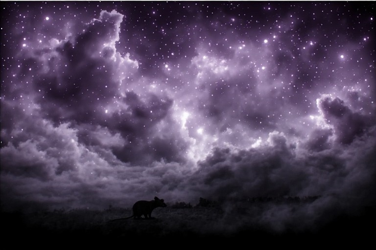 Did Someone Order Cuteness? Cute Art Drop - Image 2