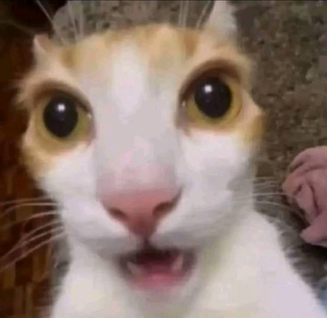 New Member Intro in Femboy Order Community