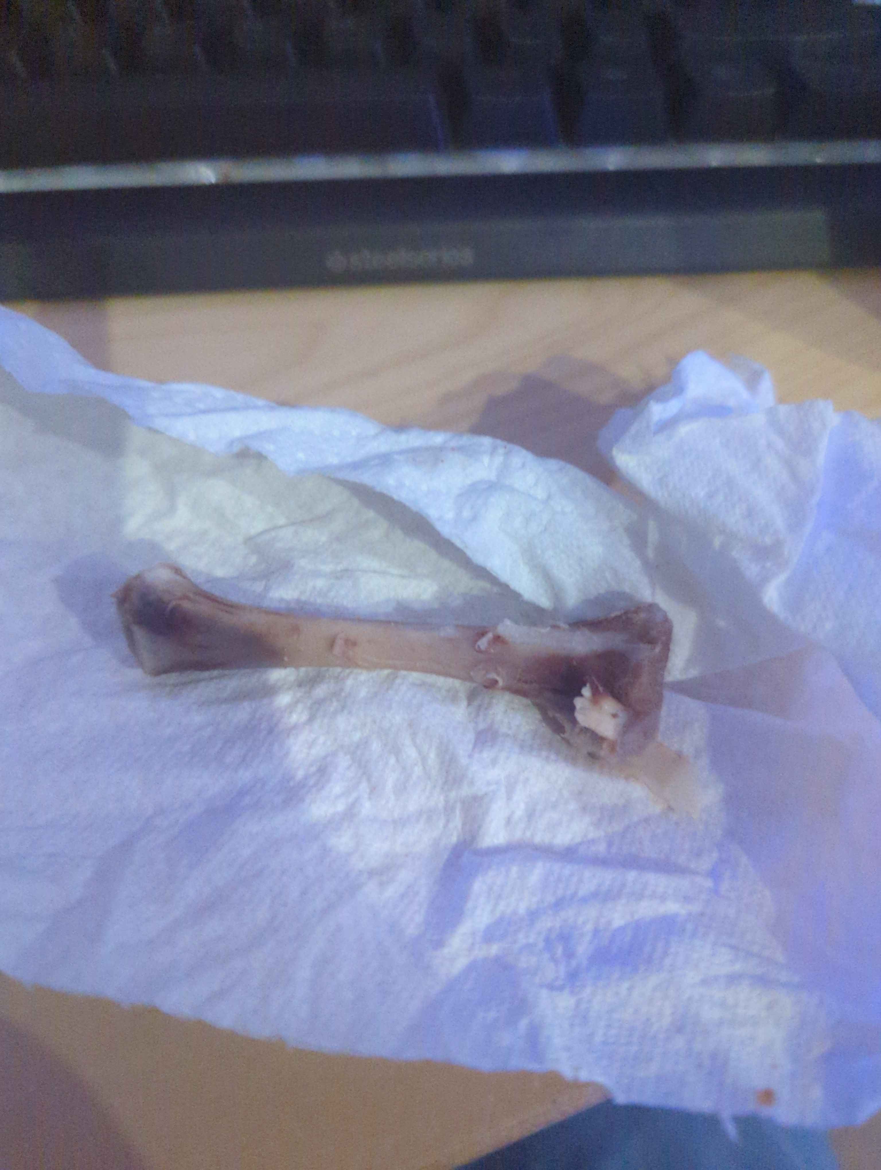 New Member Spotlight: Proud Gay Gamer & SCP Fan