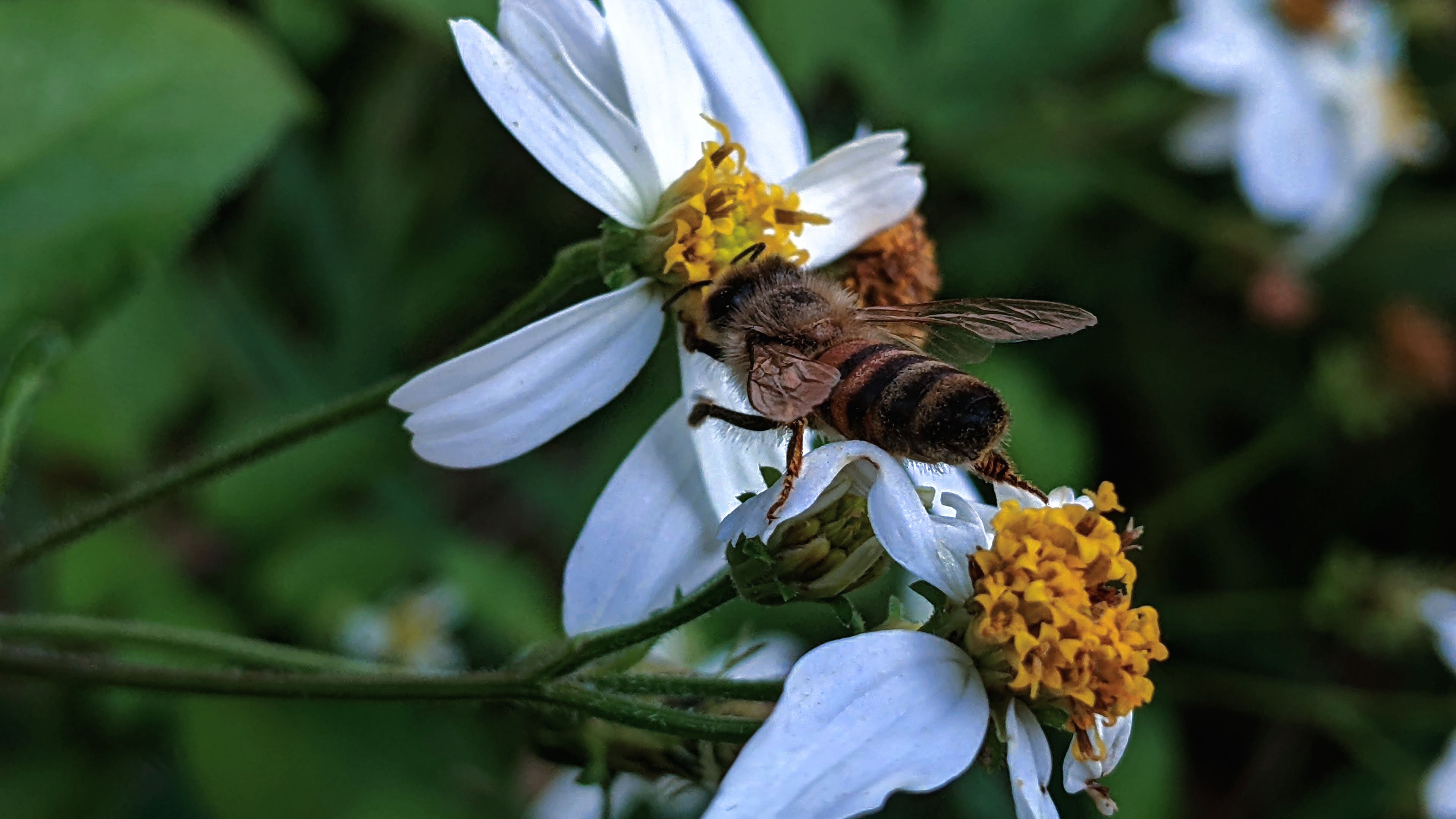 New Member Introduction: Creative Interests - Image 1