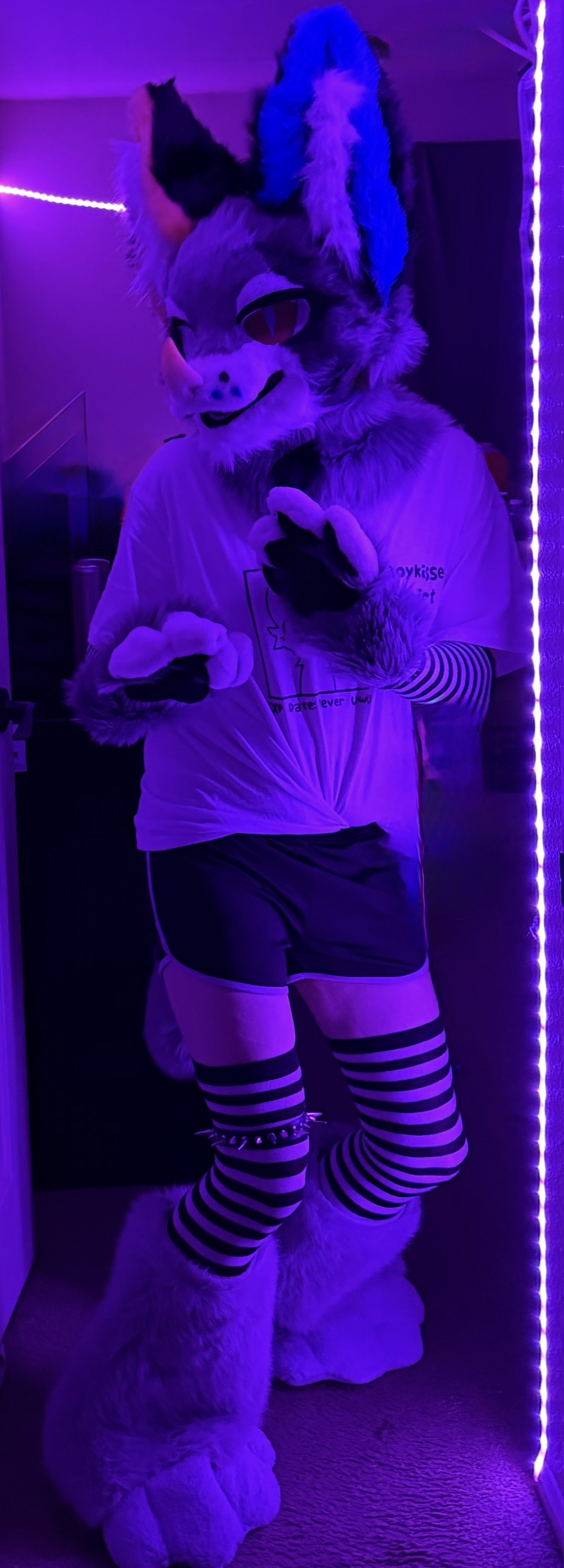 Femboy Furry Gamer Looking for Friends