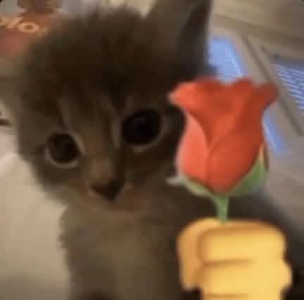 Server Emojis Suggestions Thread - Image 5