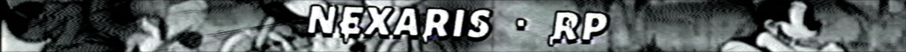 Serverdetails NEXARIS ・ RP