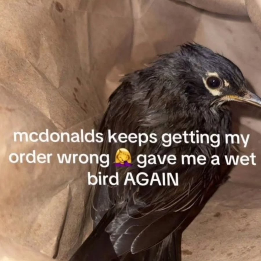 New Intro: Seeking Roblox & Minecraft Buddies