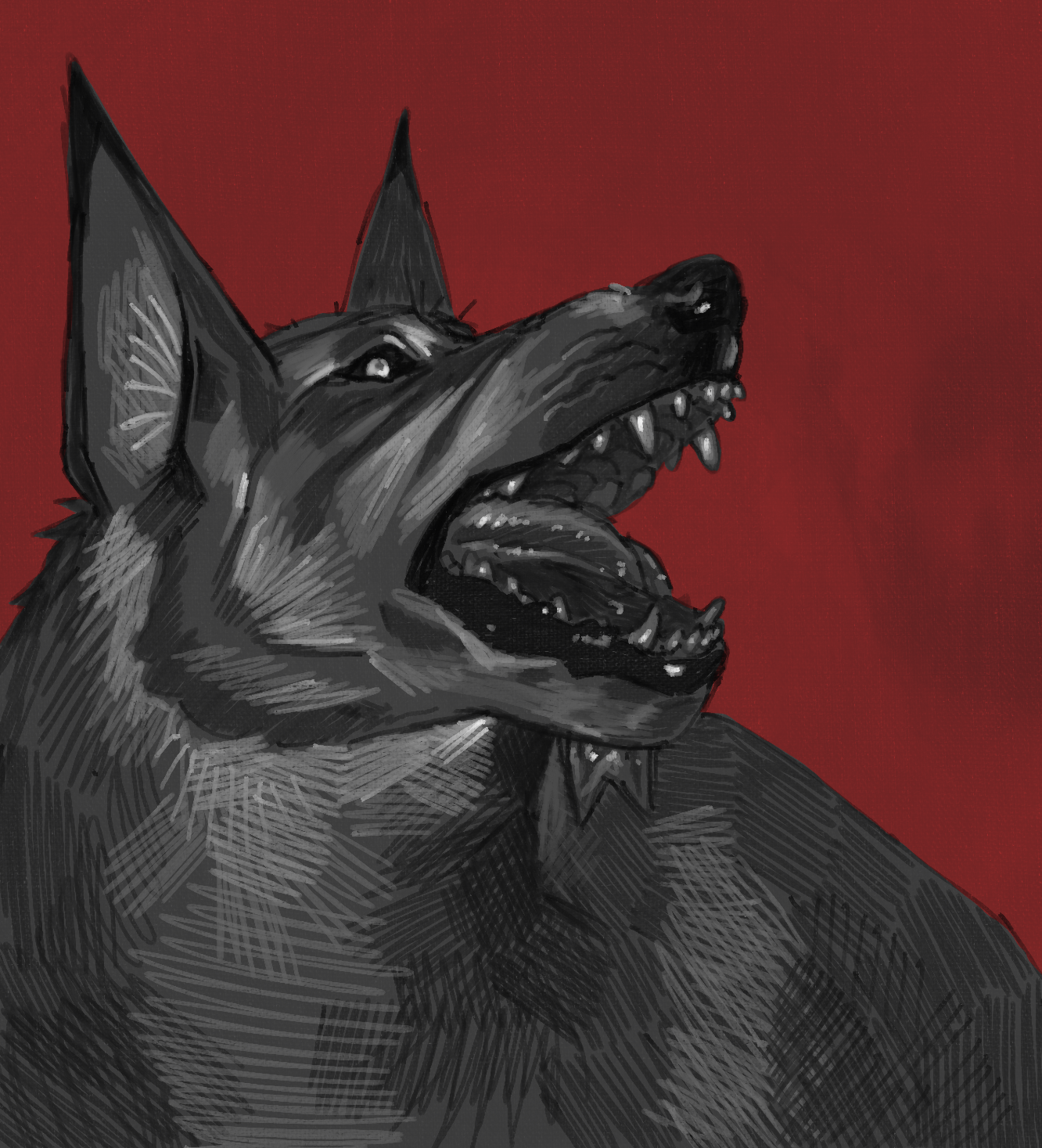 Galería de arte furry y consejos de anatomía | Comunidad Pawschwitz - Image 1