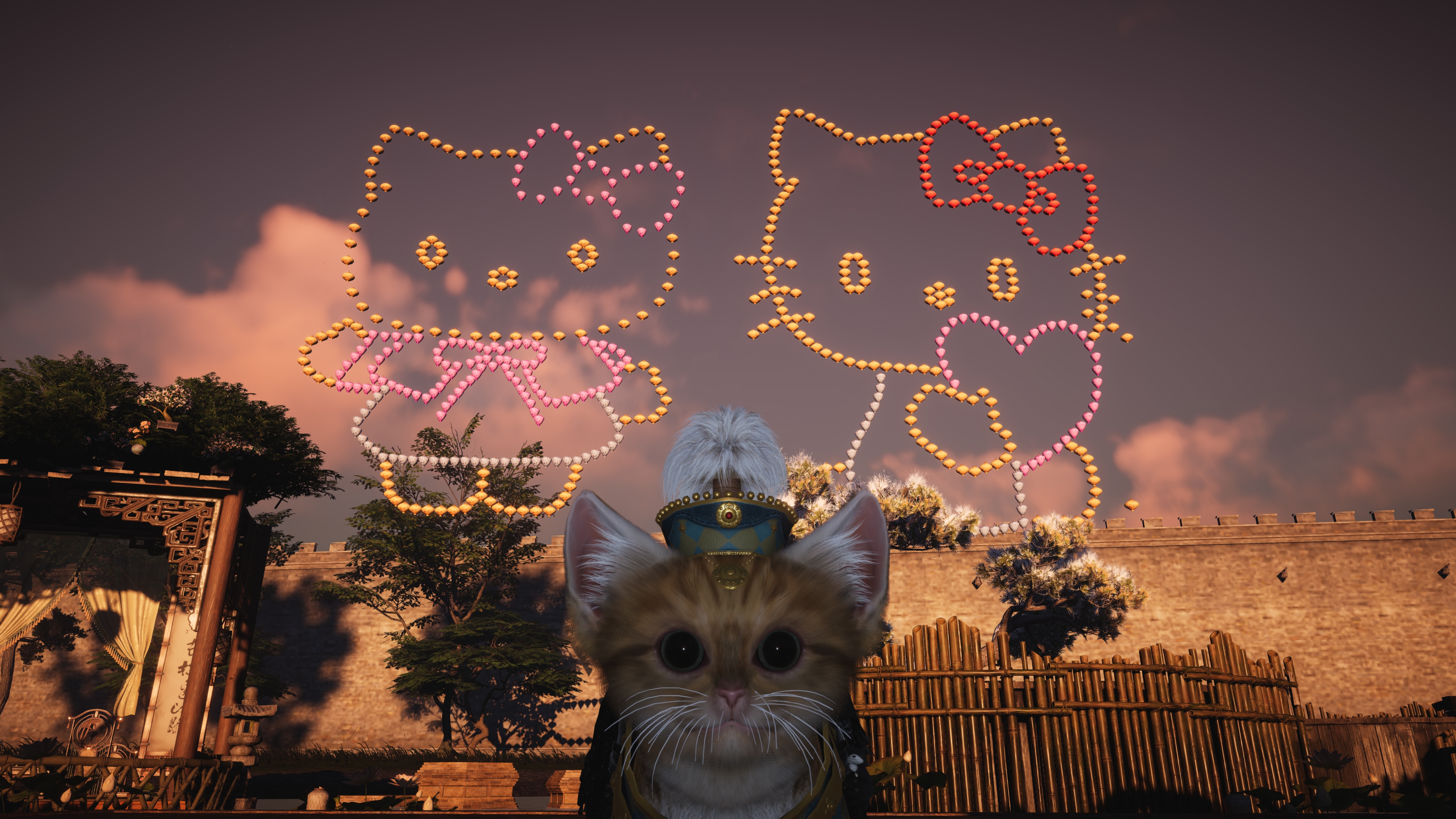 Kitty